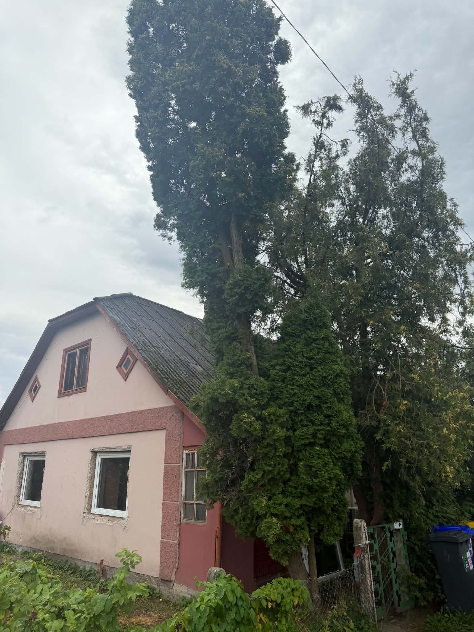 Fotoattēli 2