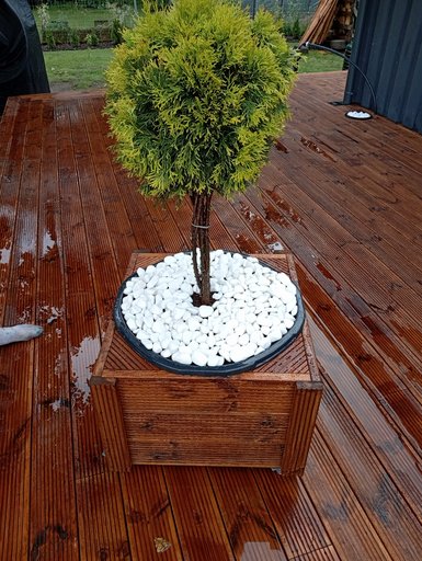 Portfolio image 5