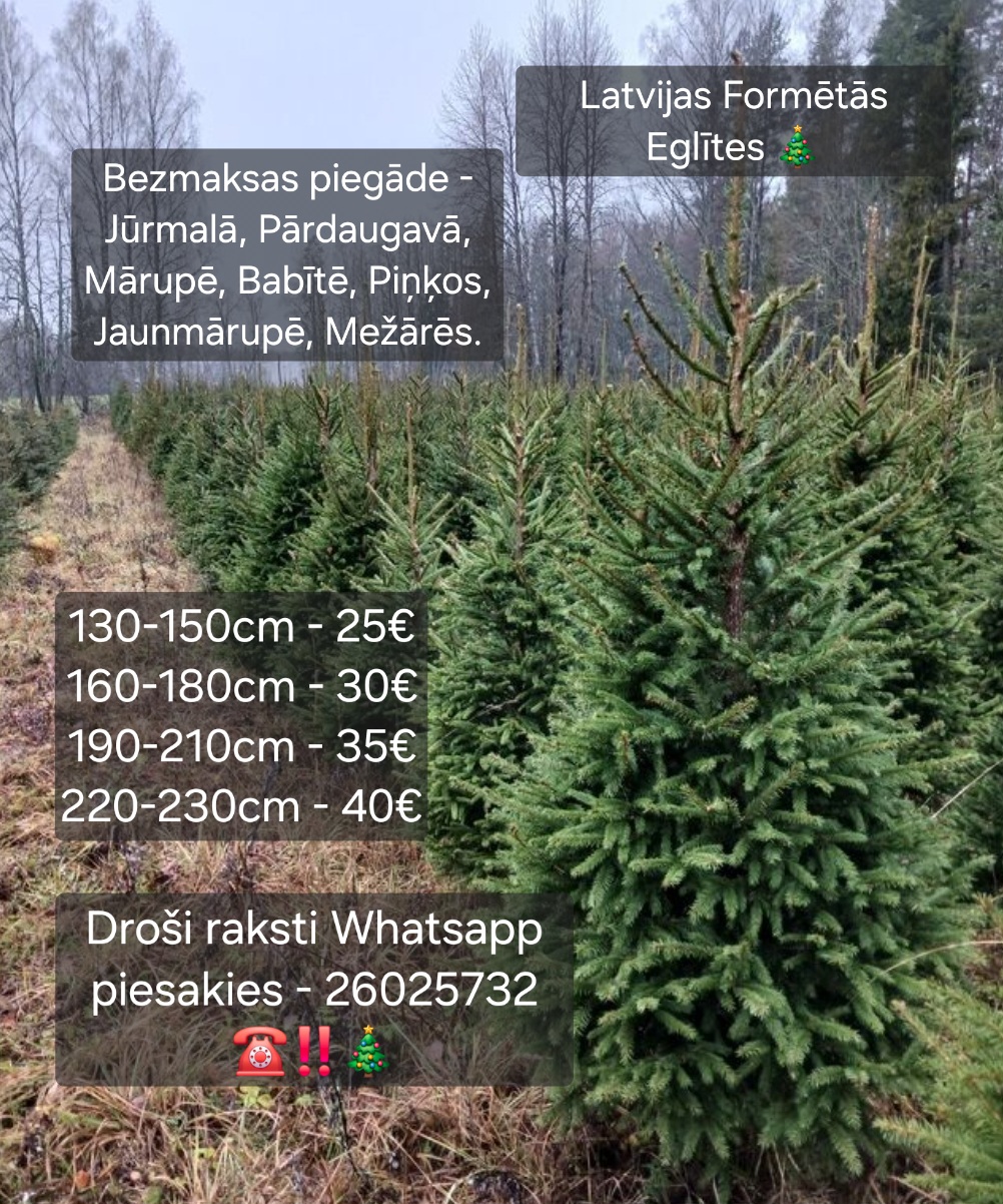 Fotoattēli 1