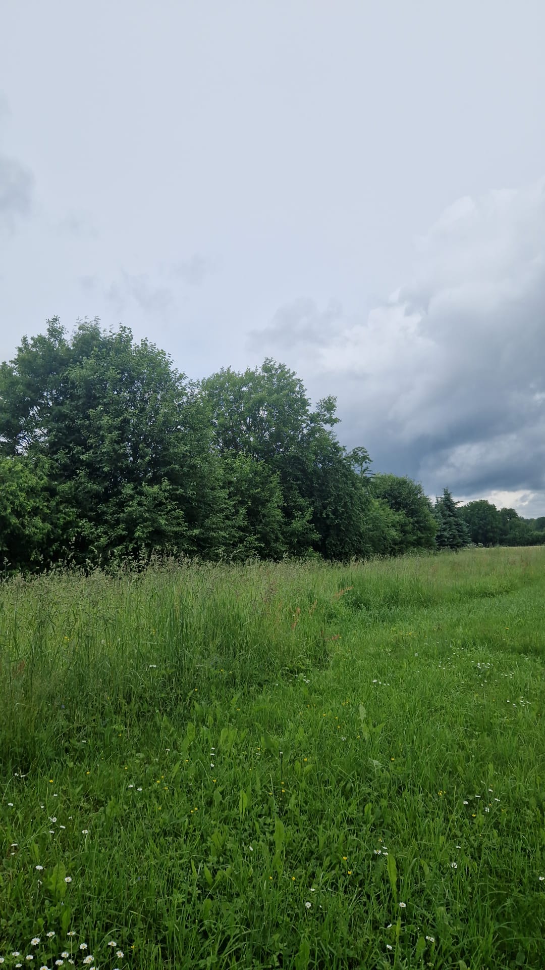 Photos 1