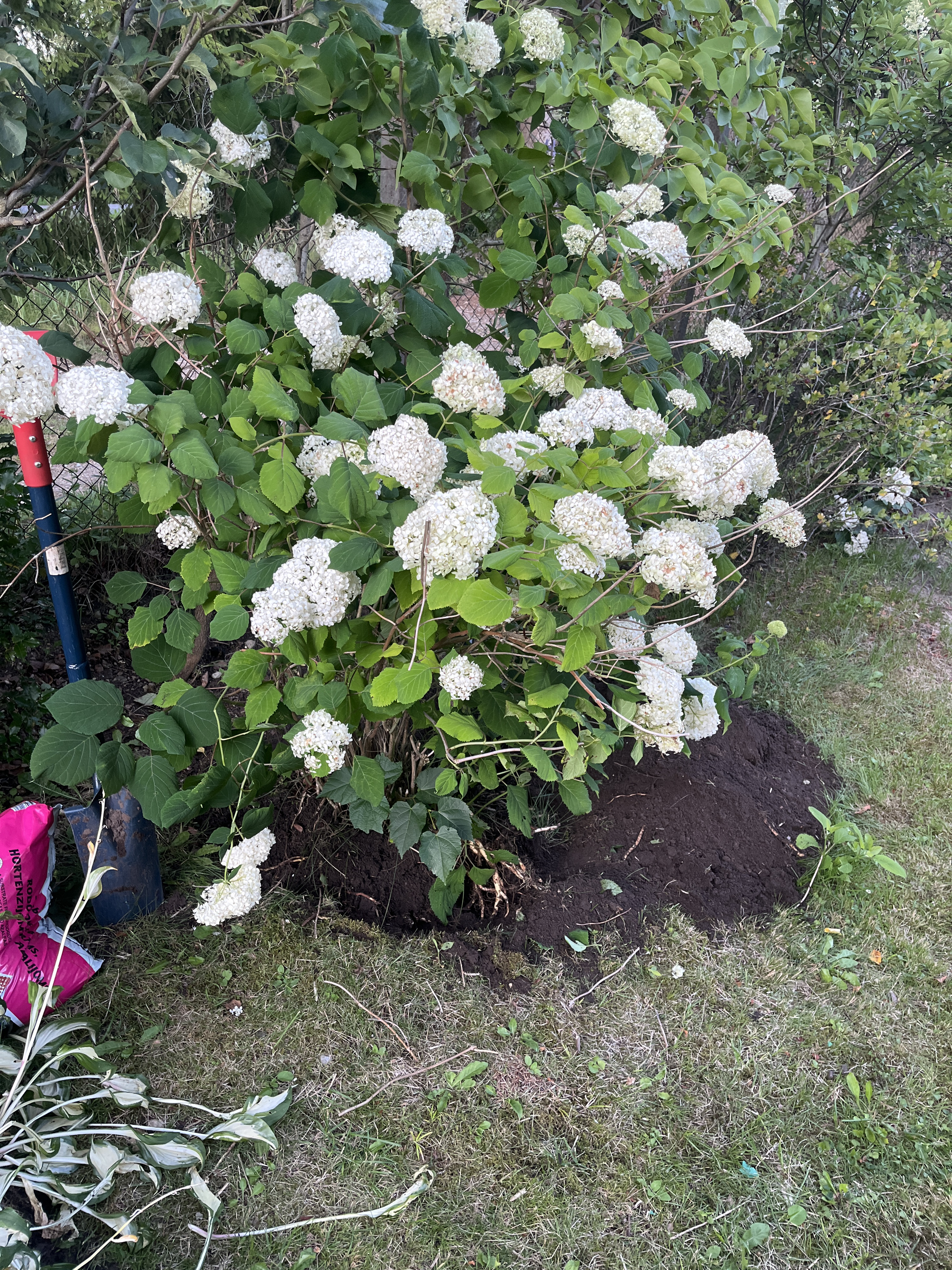 Photos 1