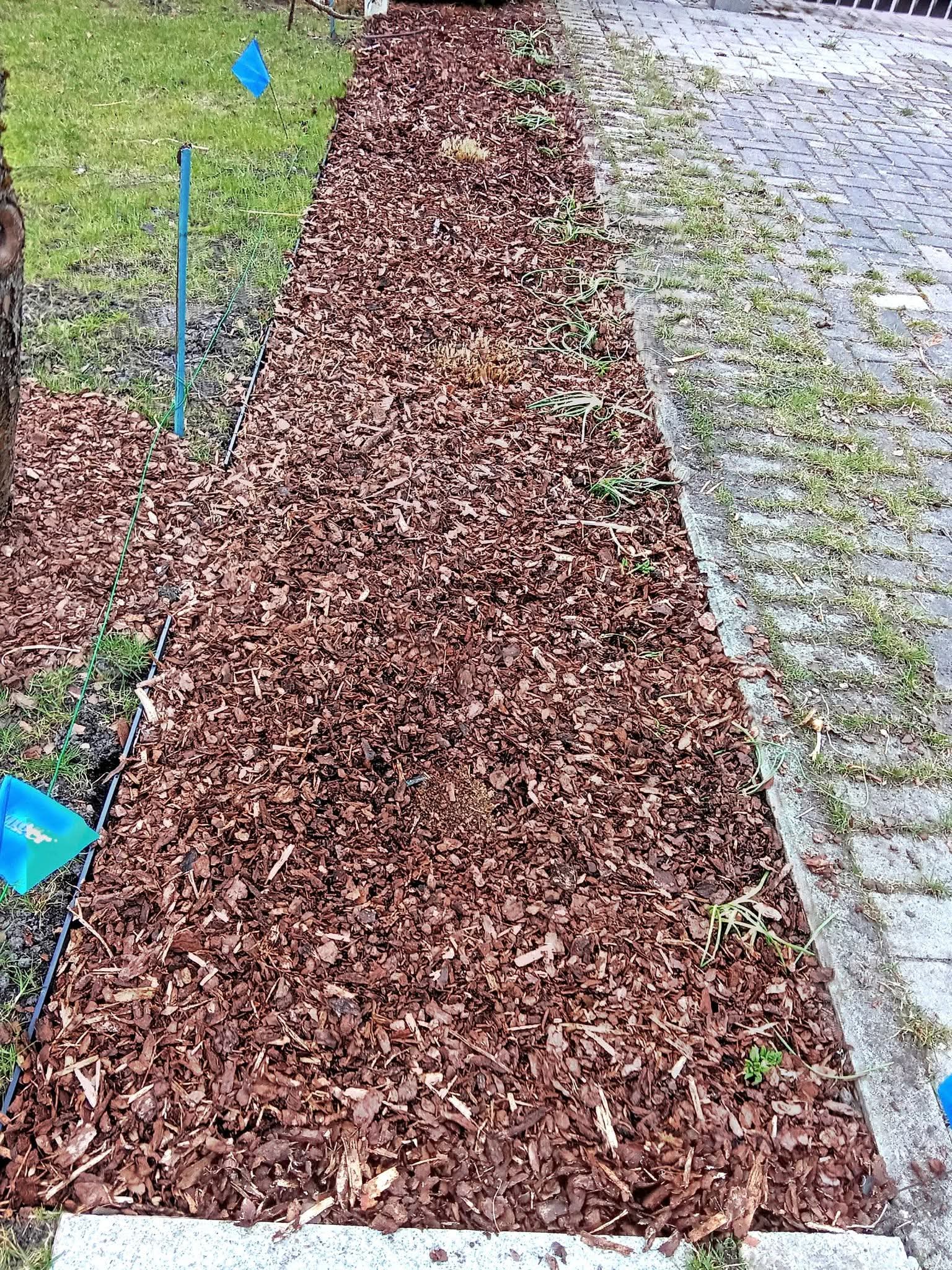 Photos 1
