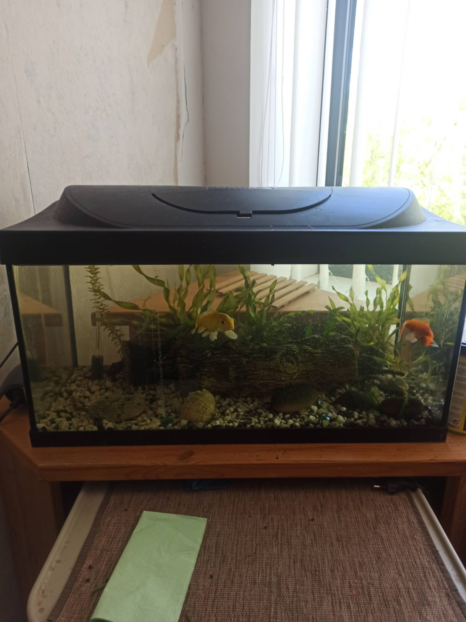 Fotoattēli 3