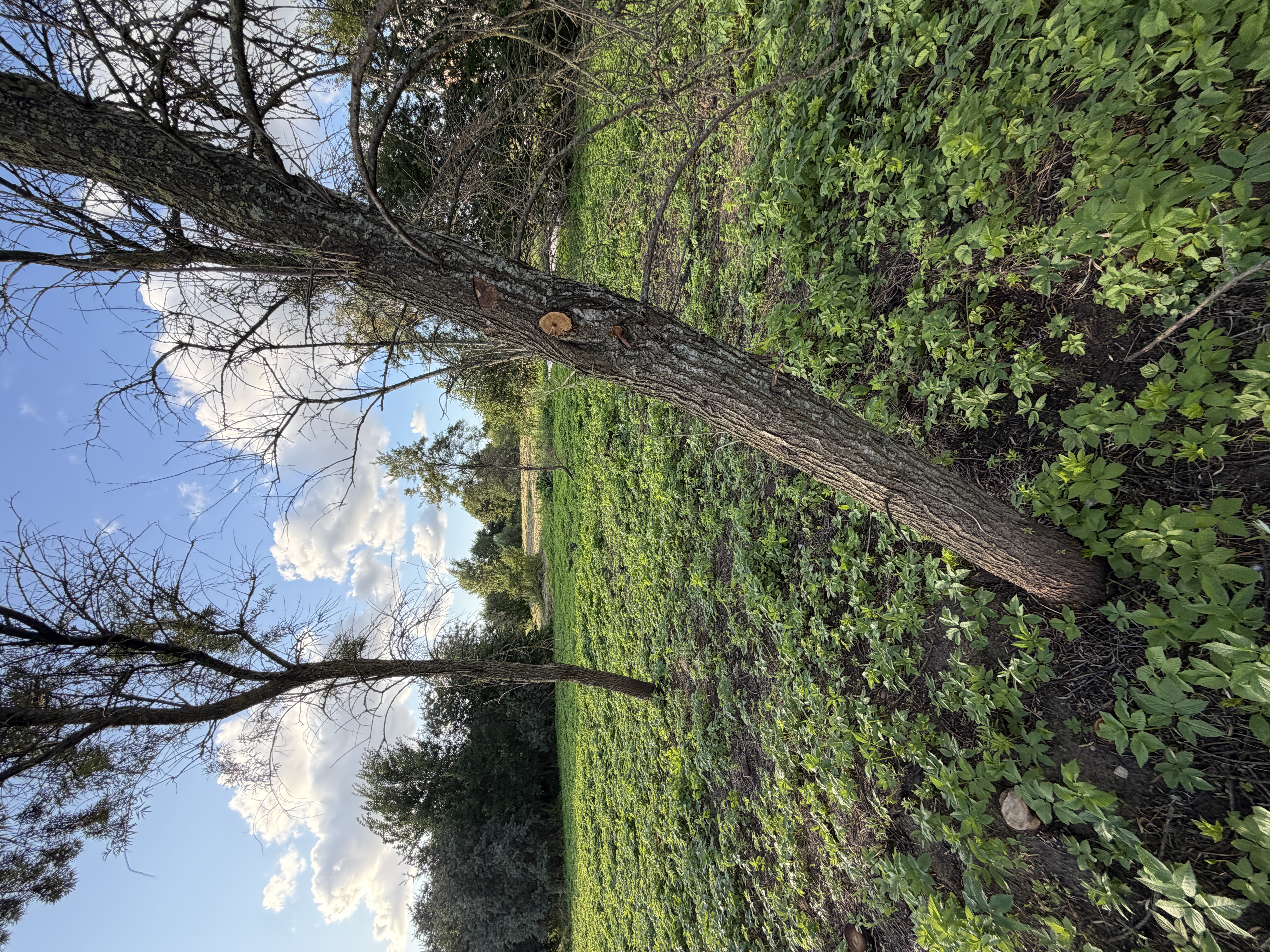 Photos 1