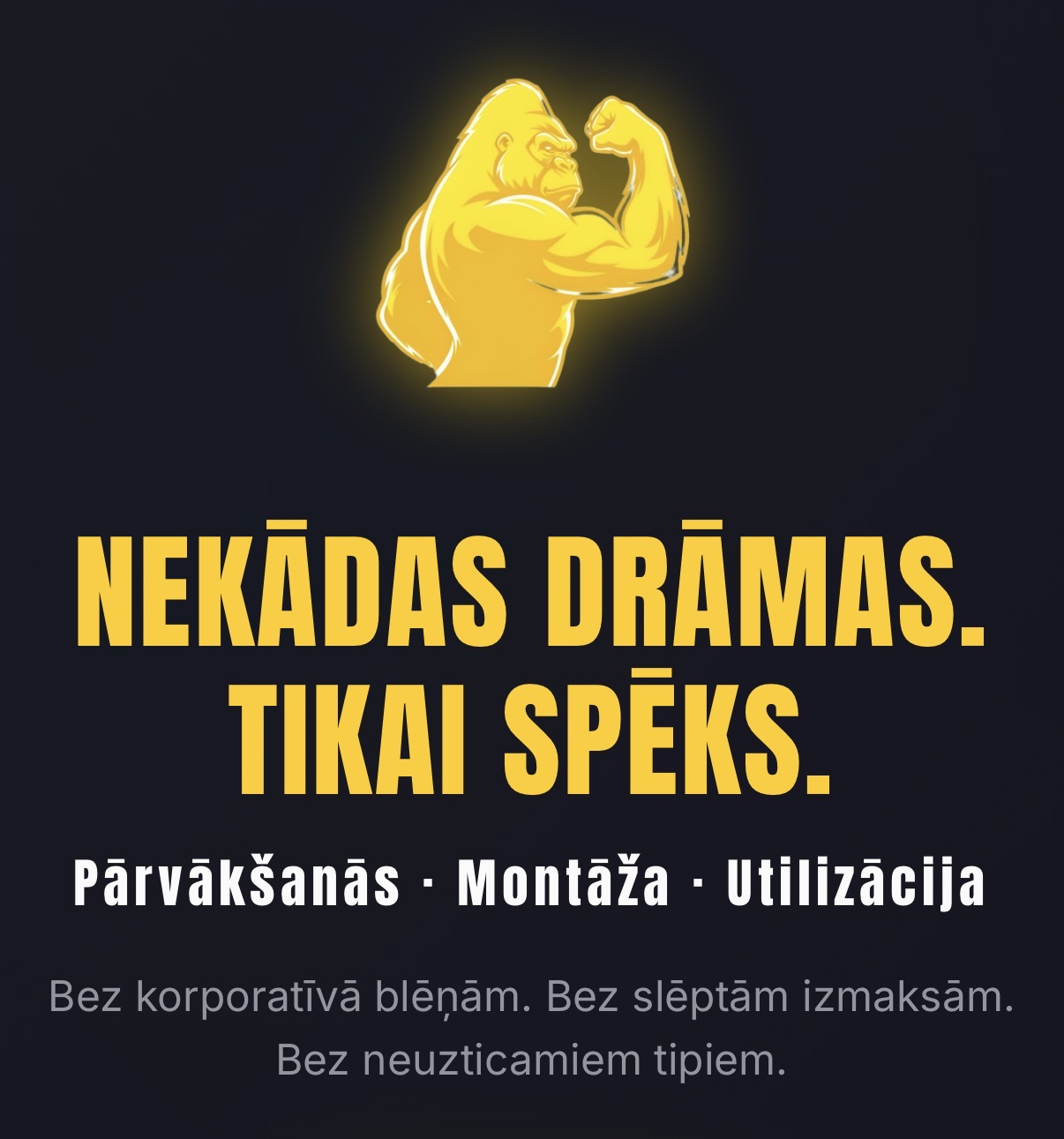 Фотографии 1