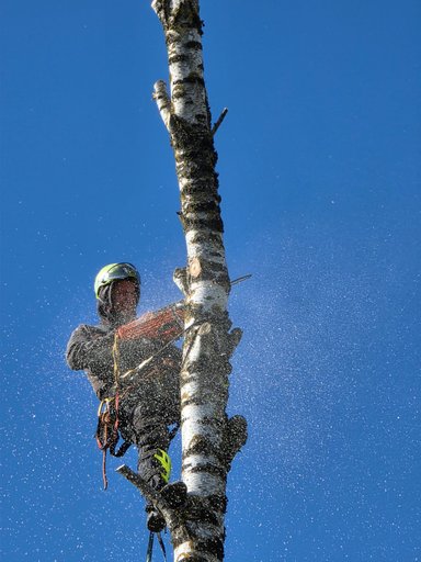 Portfolio image 4