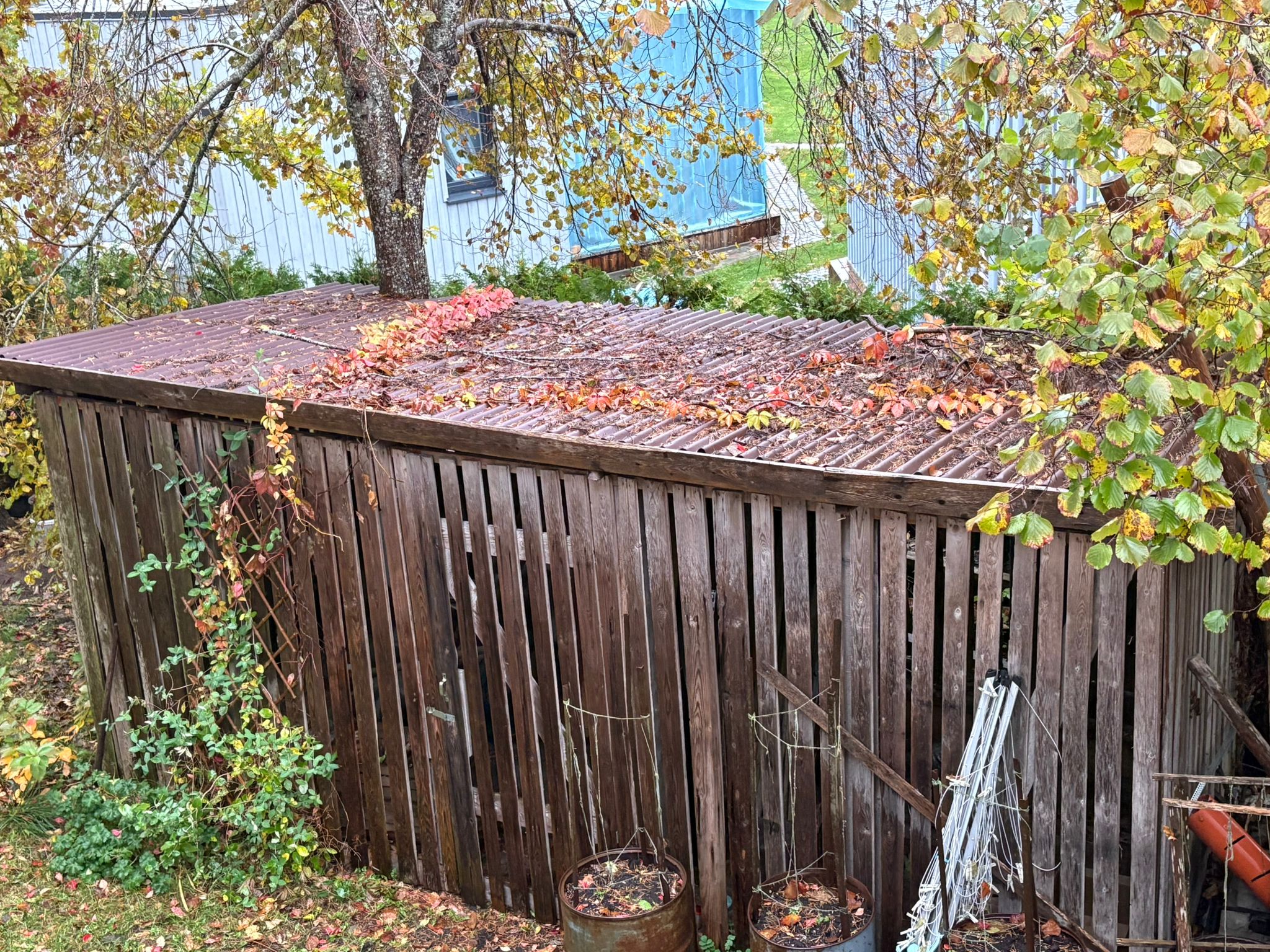 Photos 2