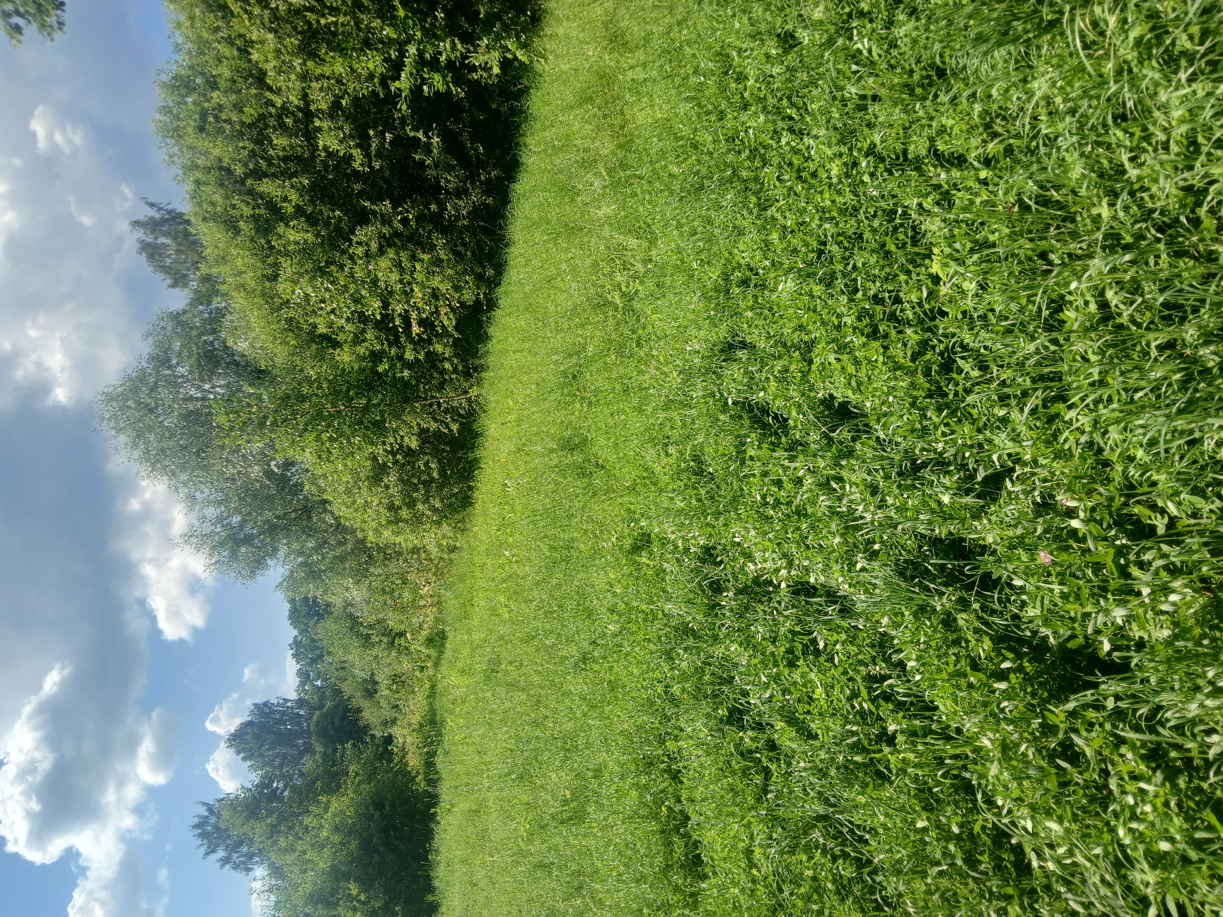 Fotoattēli 5