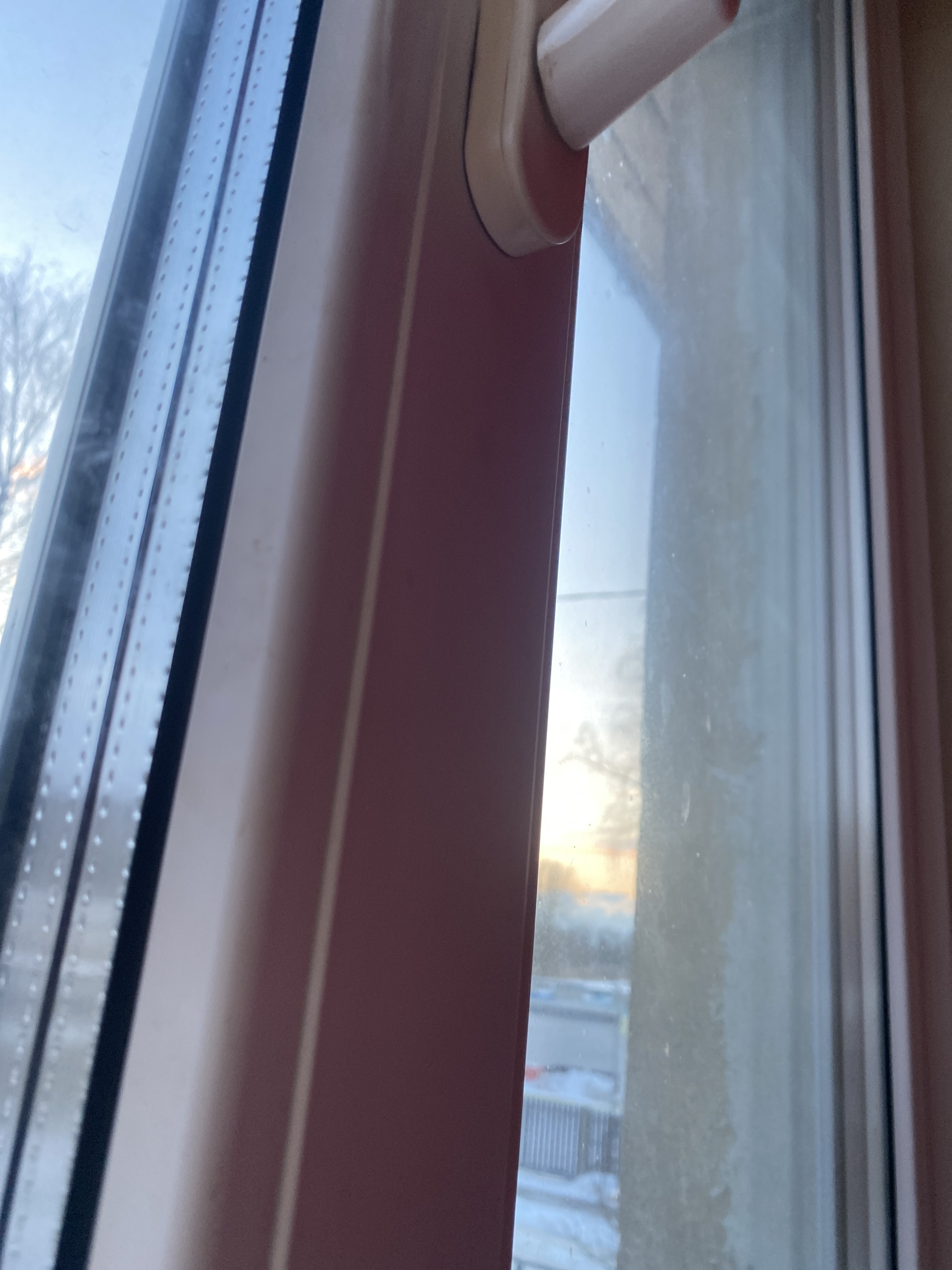 Fotoattēli 1
