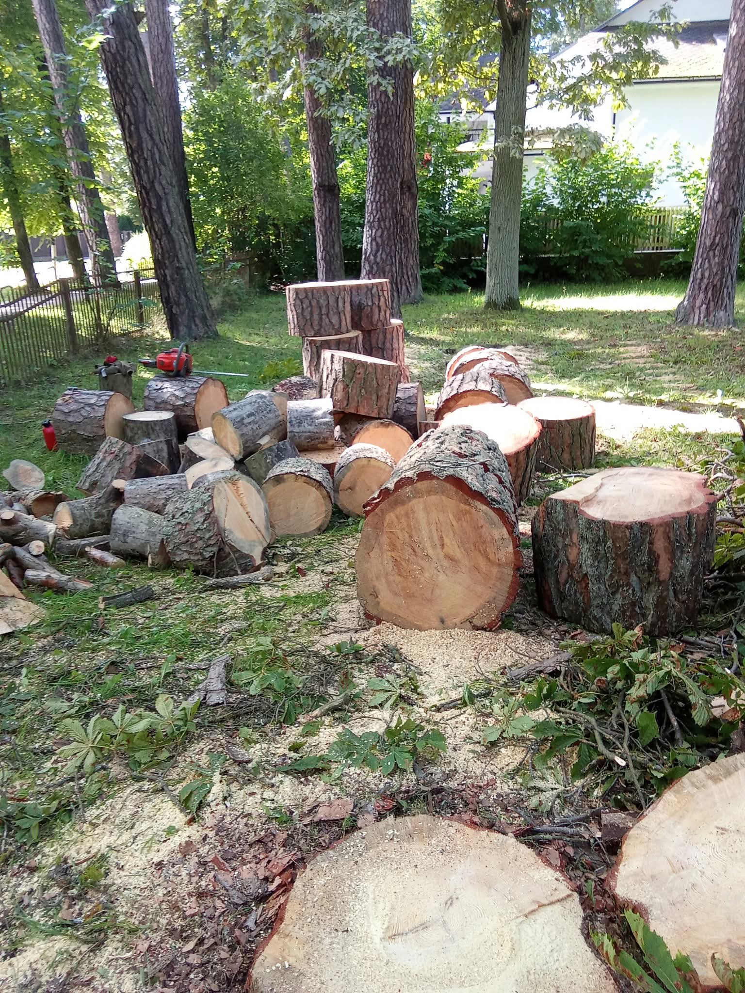 Photos 6