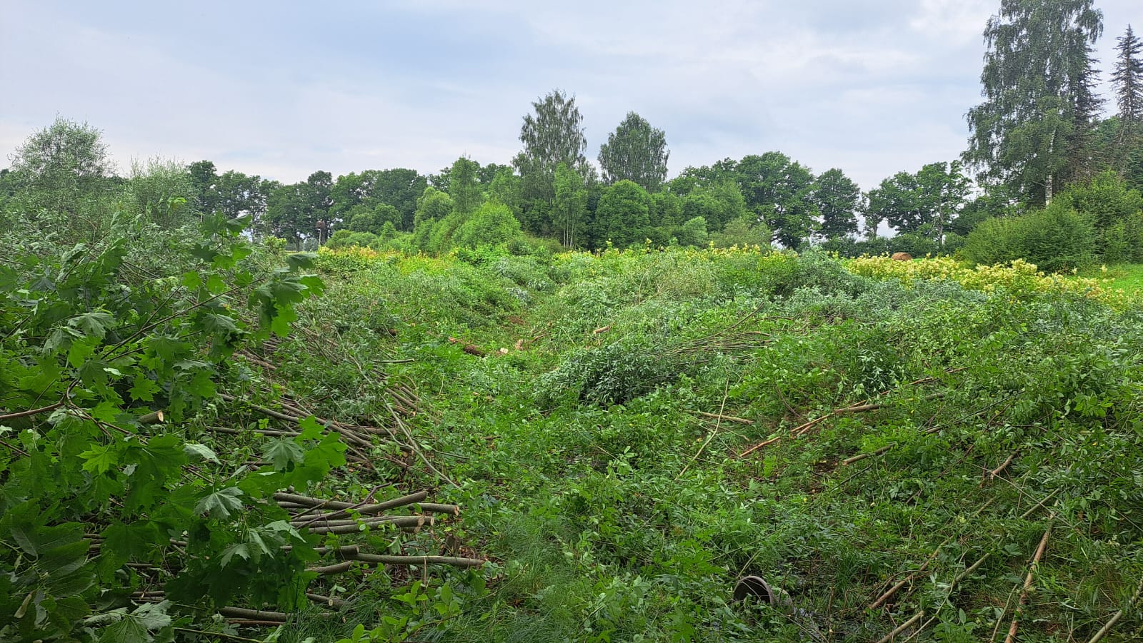 Fotoattēli 6