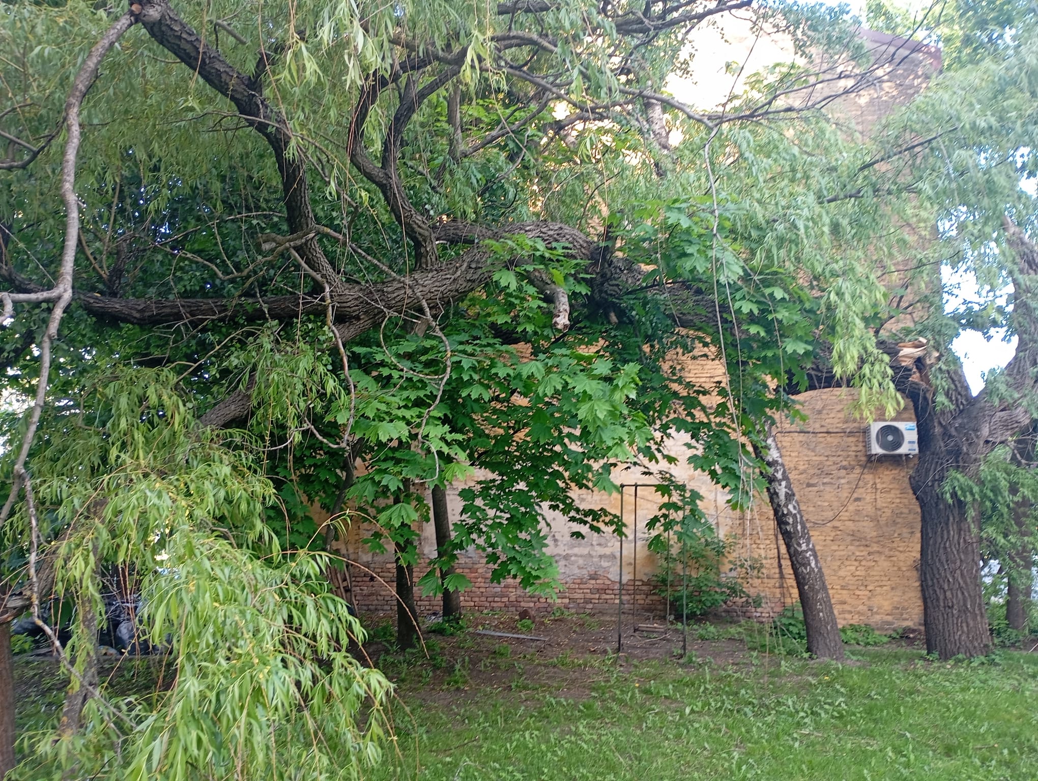 Photos 2