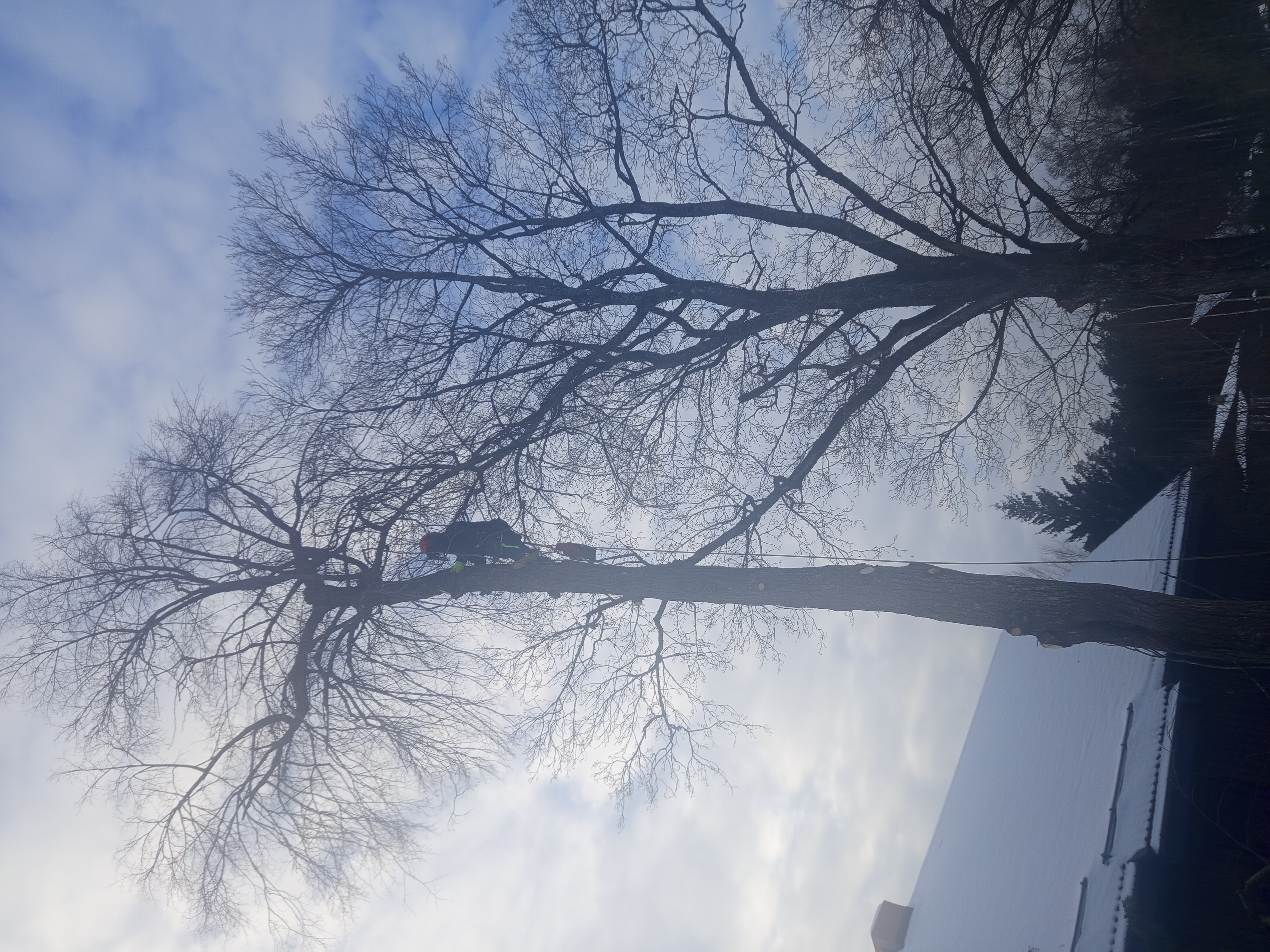 Photos 7