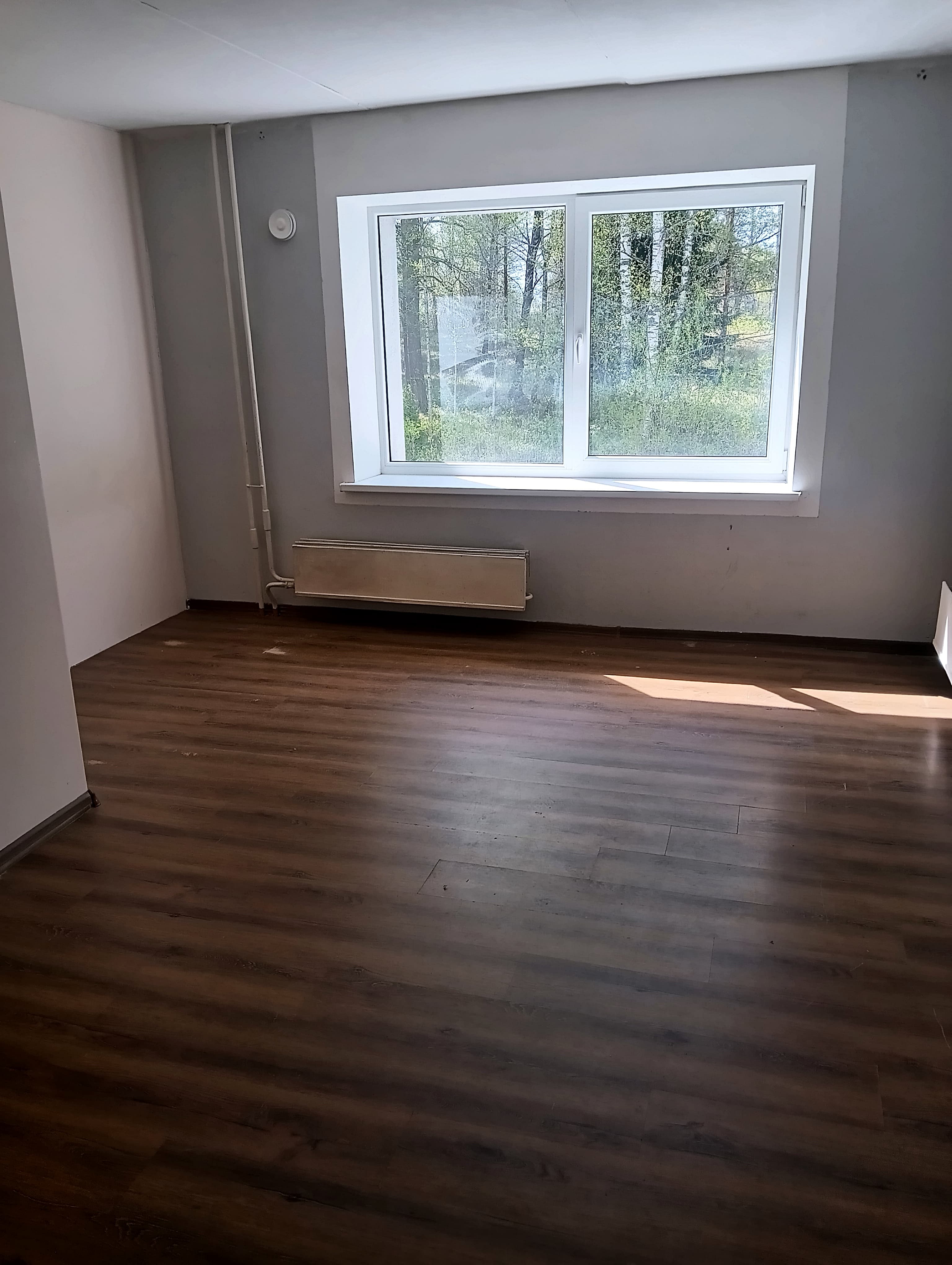 Photos 2