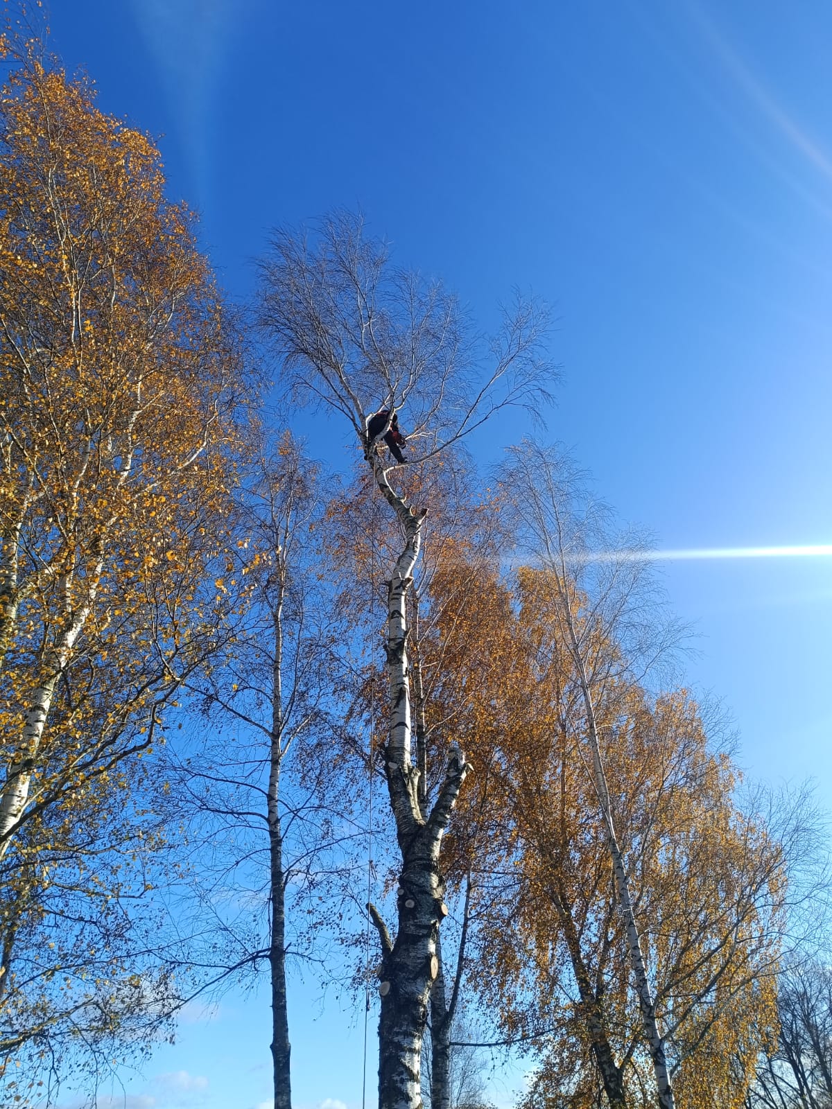 Fotoattēli 6