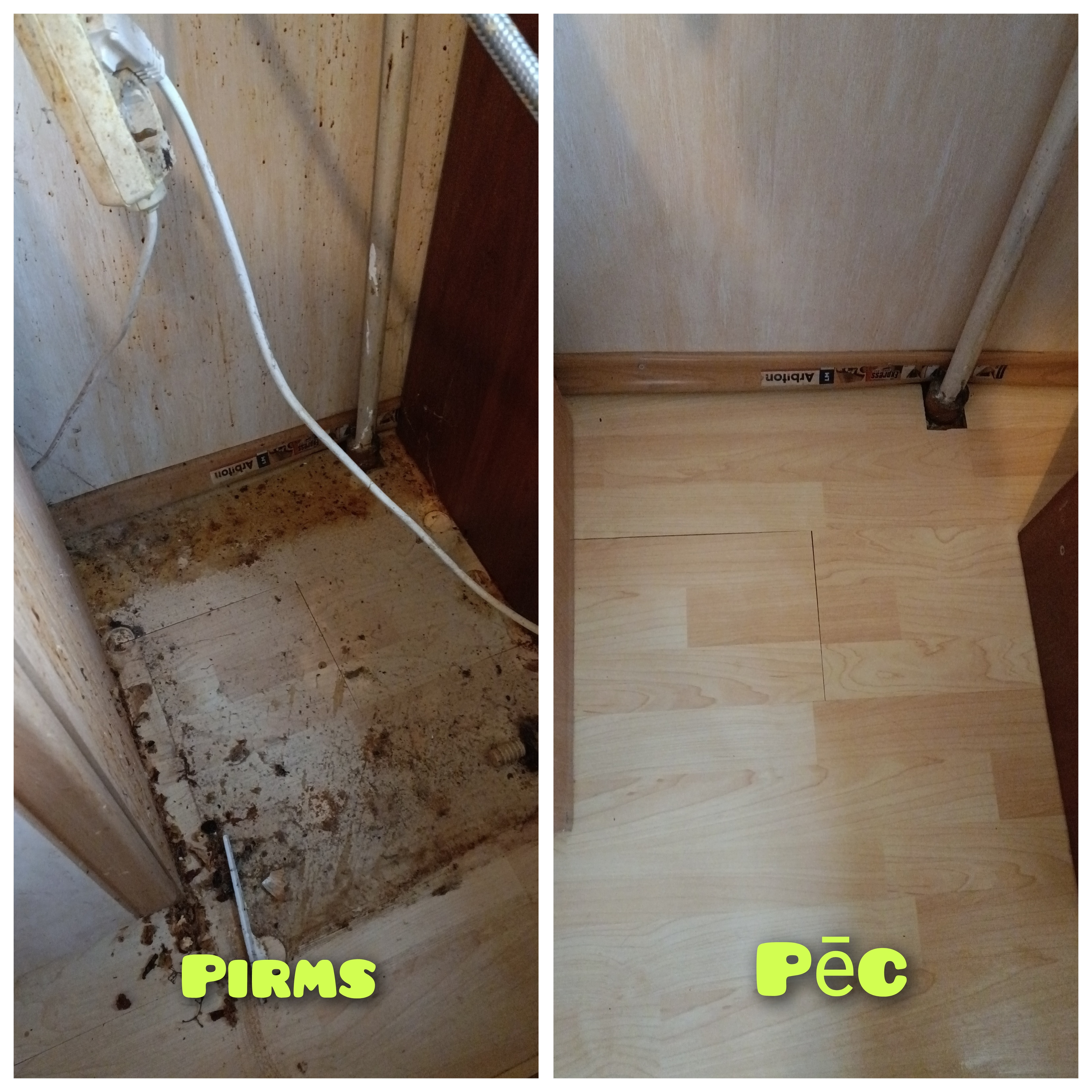 Photos 2