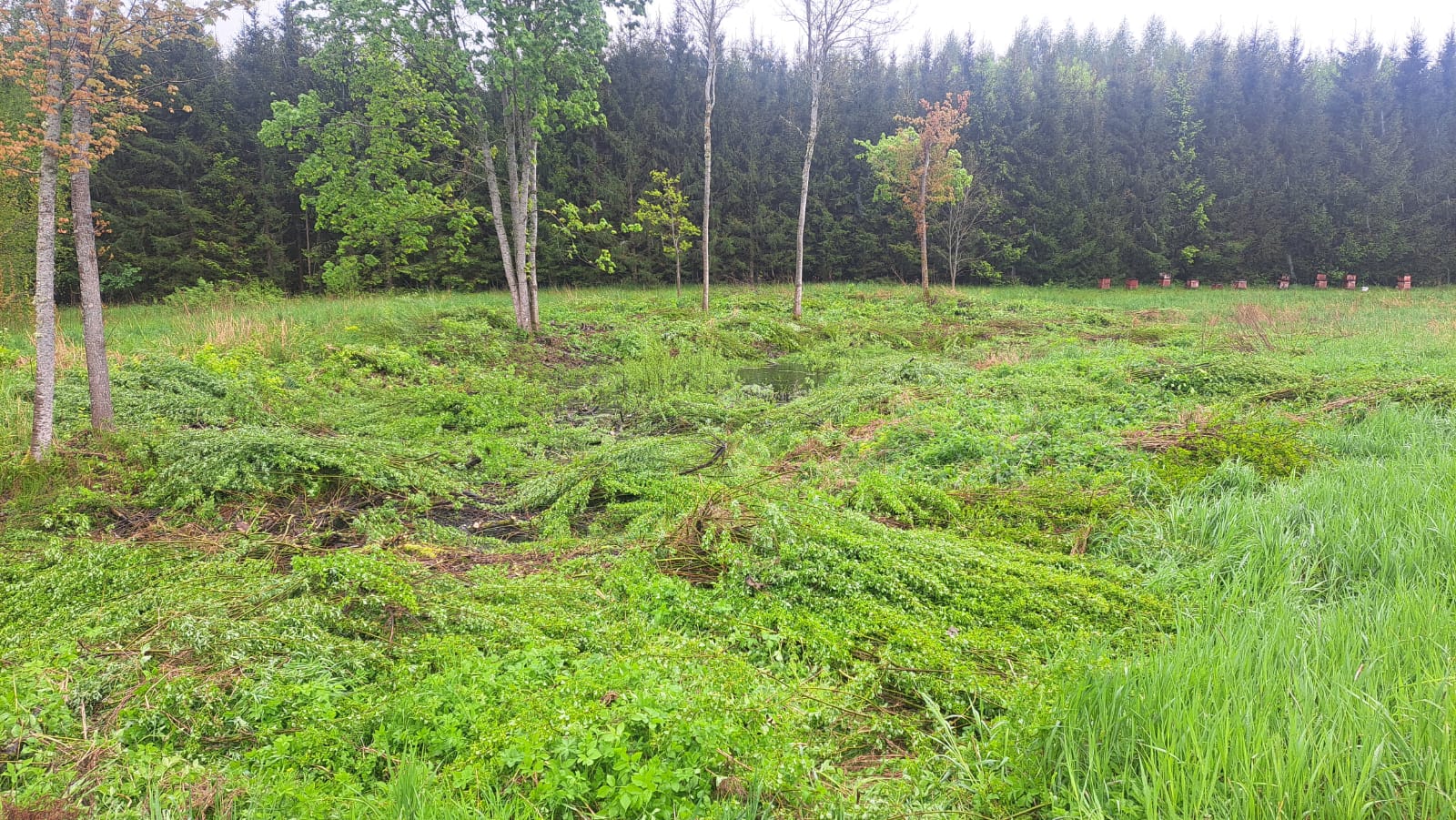 Fotoattēli 14