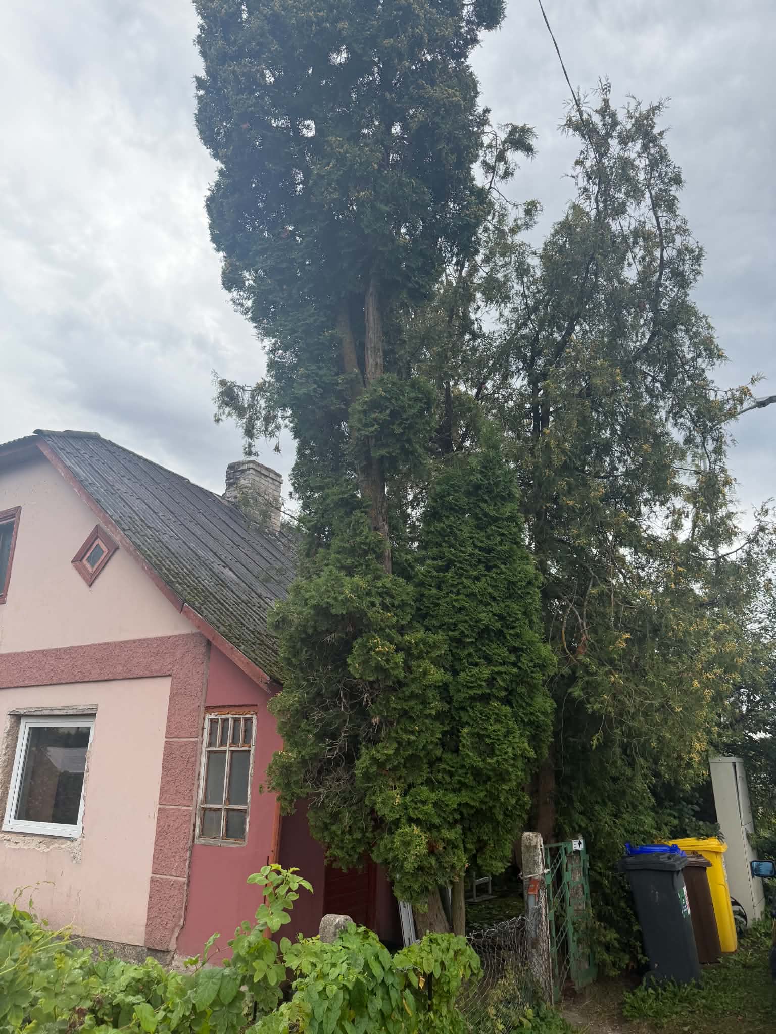 Fotoattēli 3