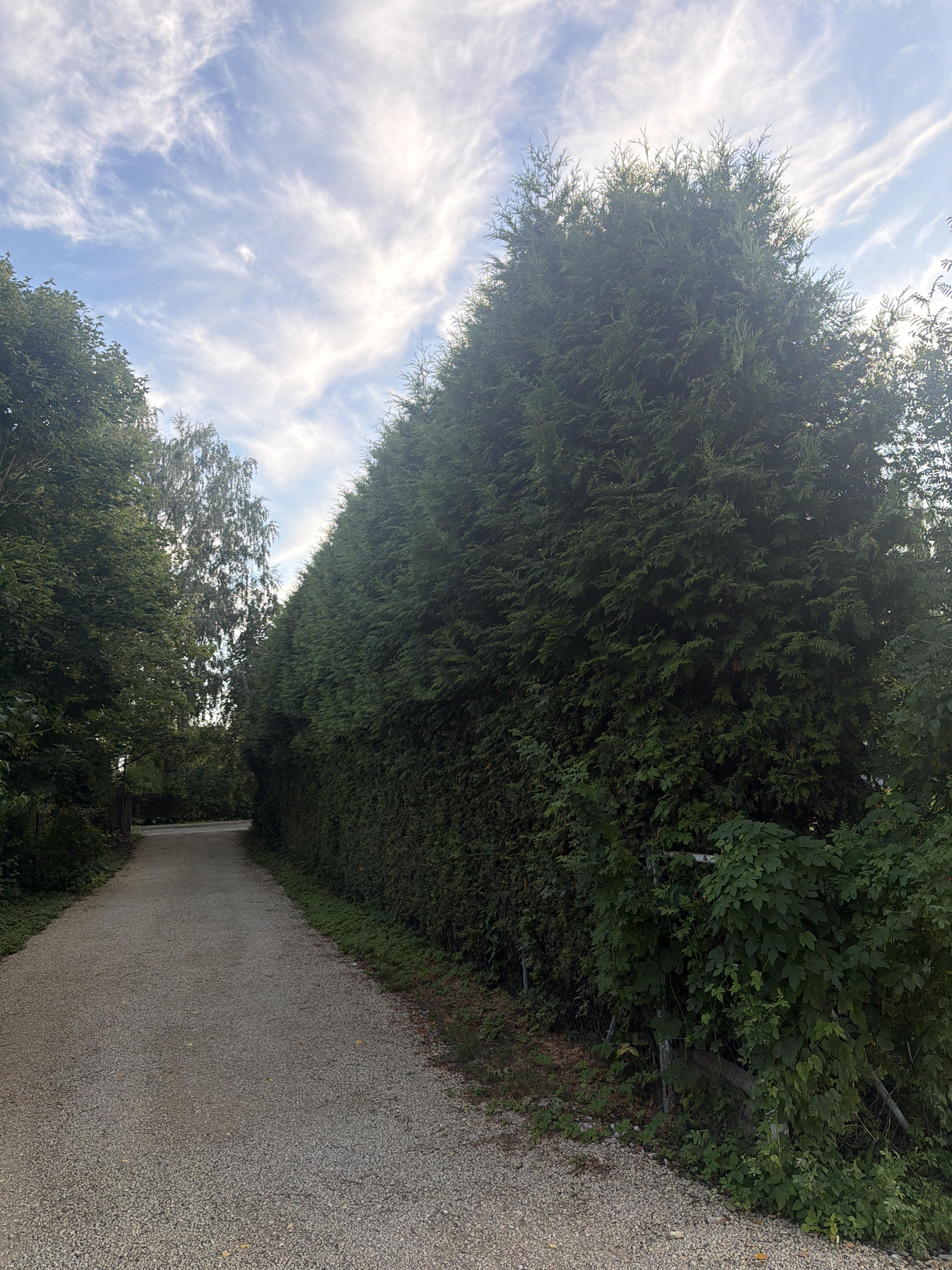 Фотографии 1