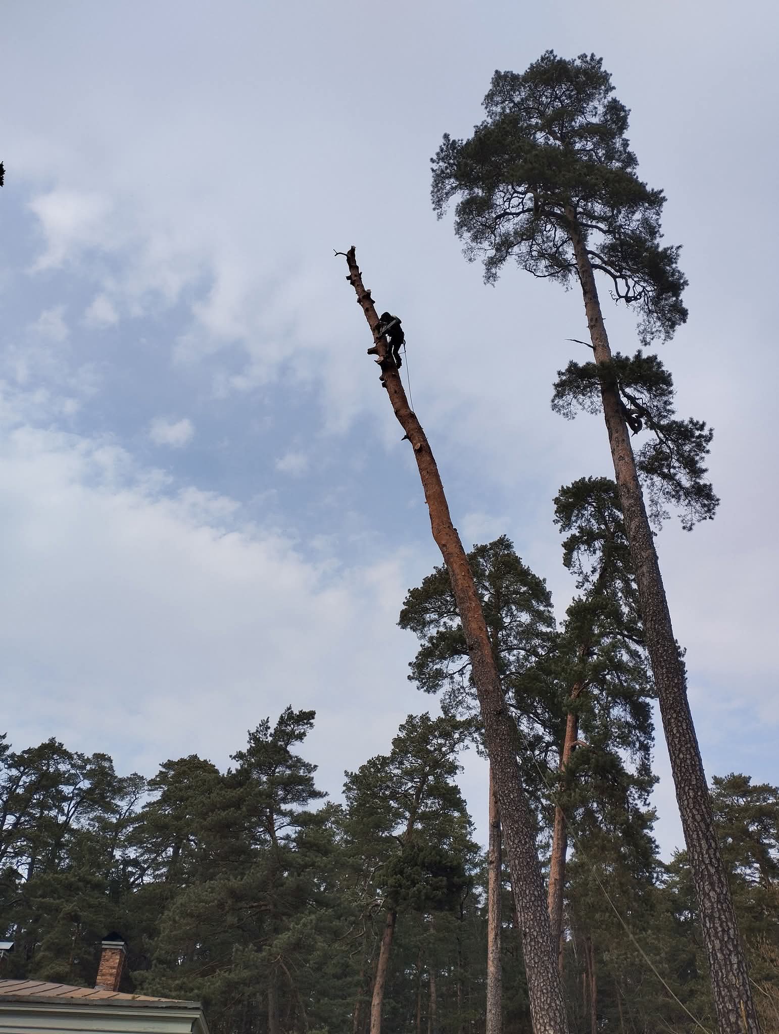 Fotoattēli 10