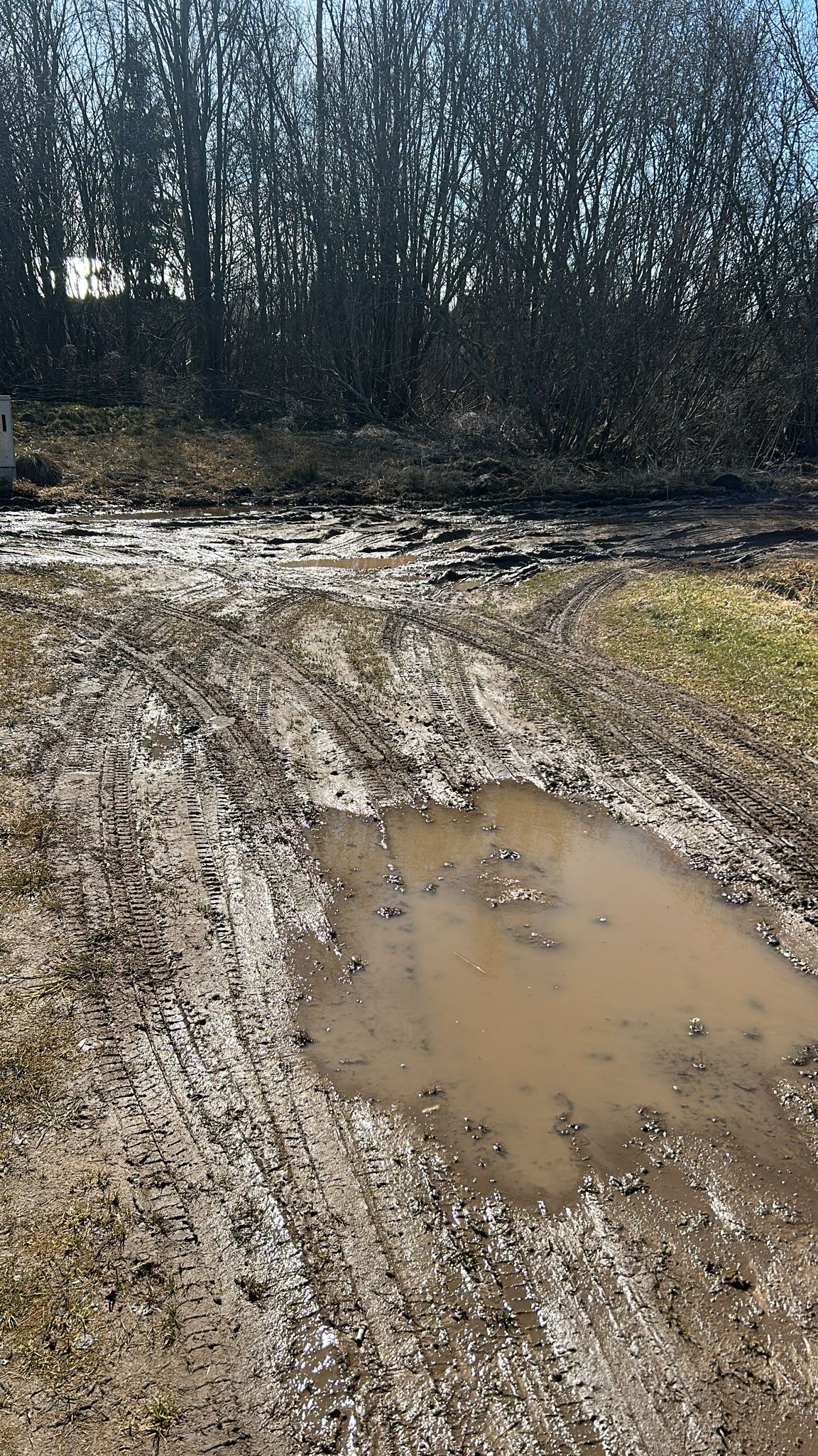Fotoattēli 5