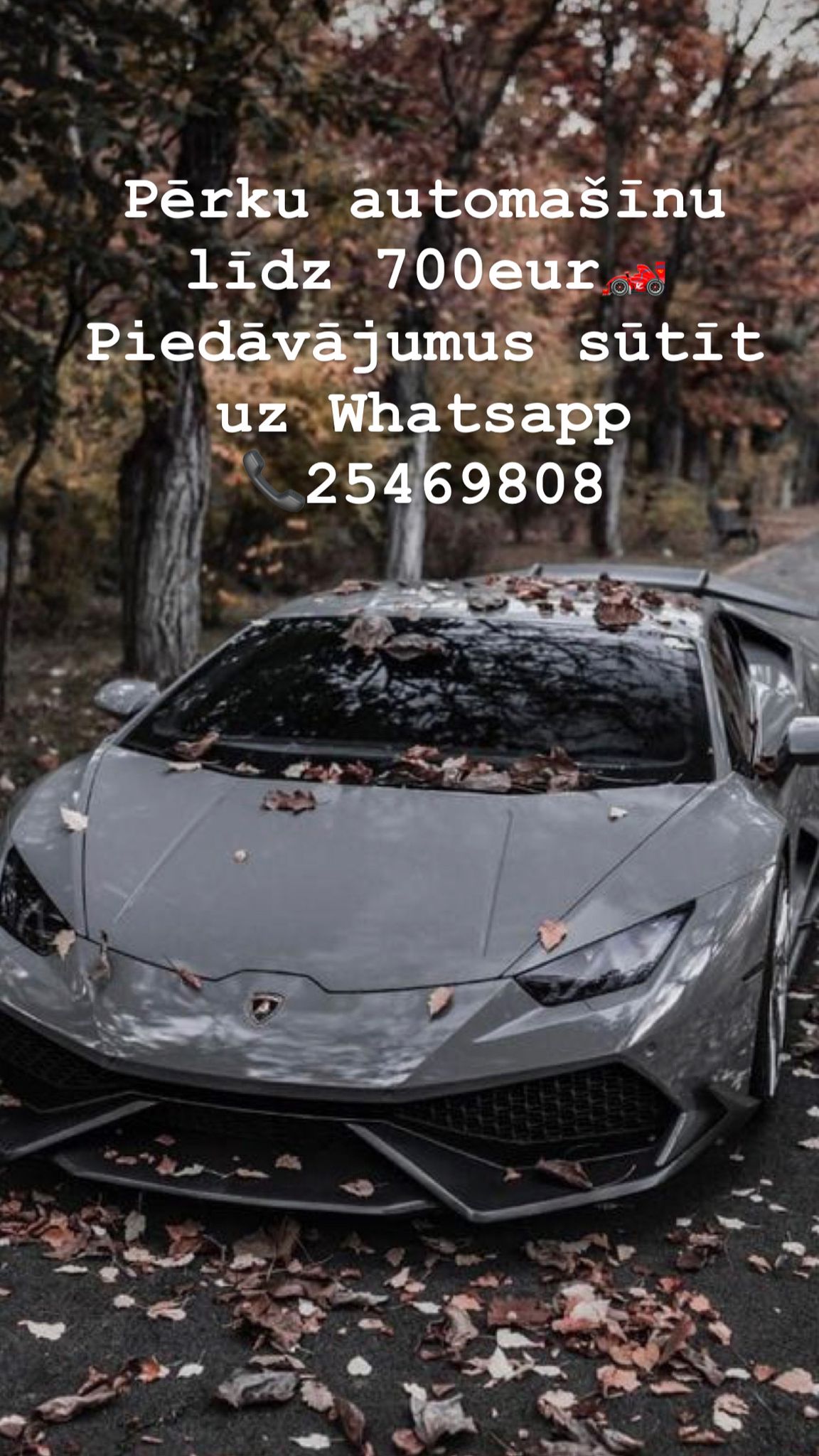 Photos 1