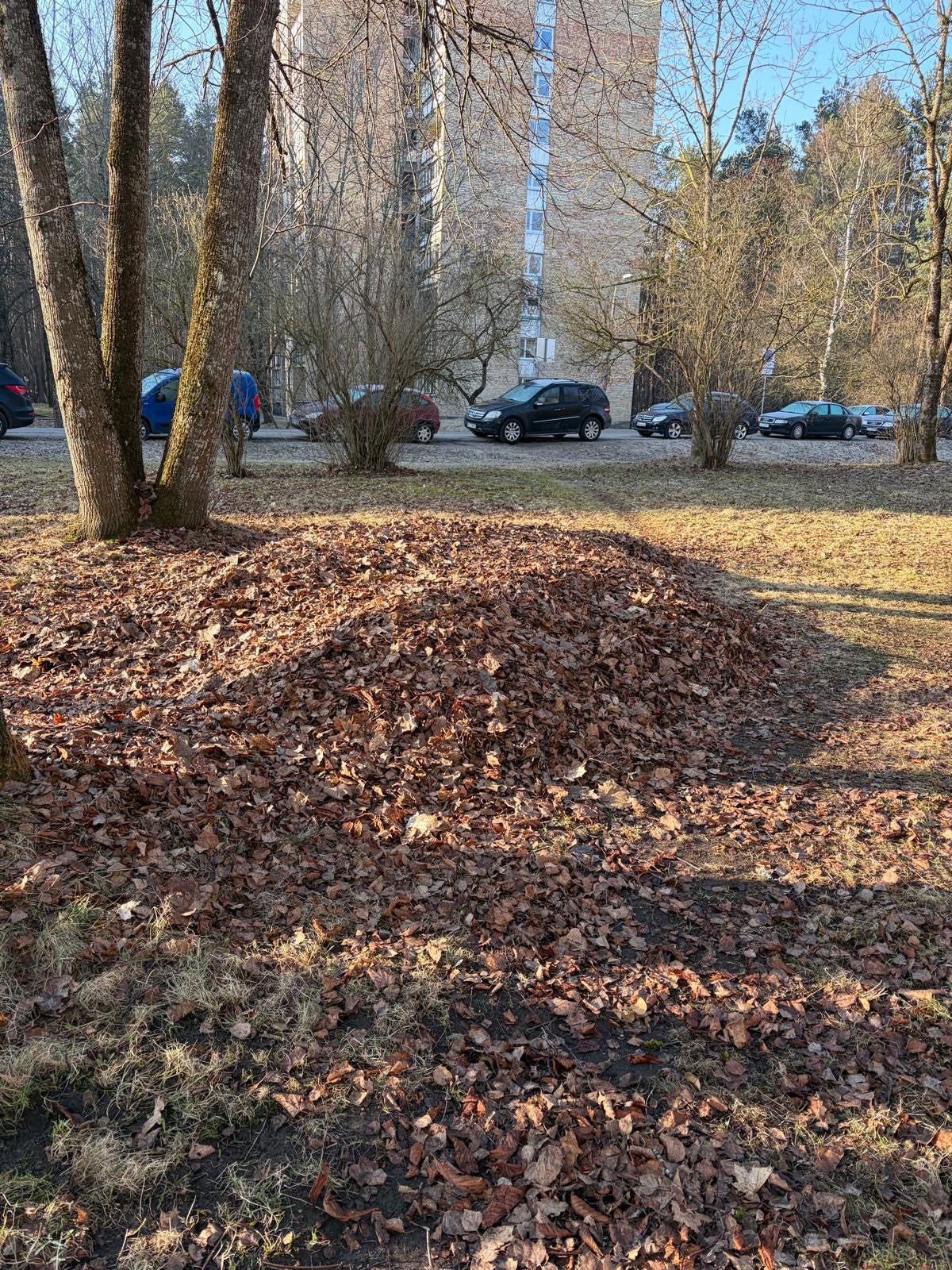 Fotoattēli 1