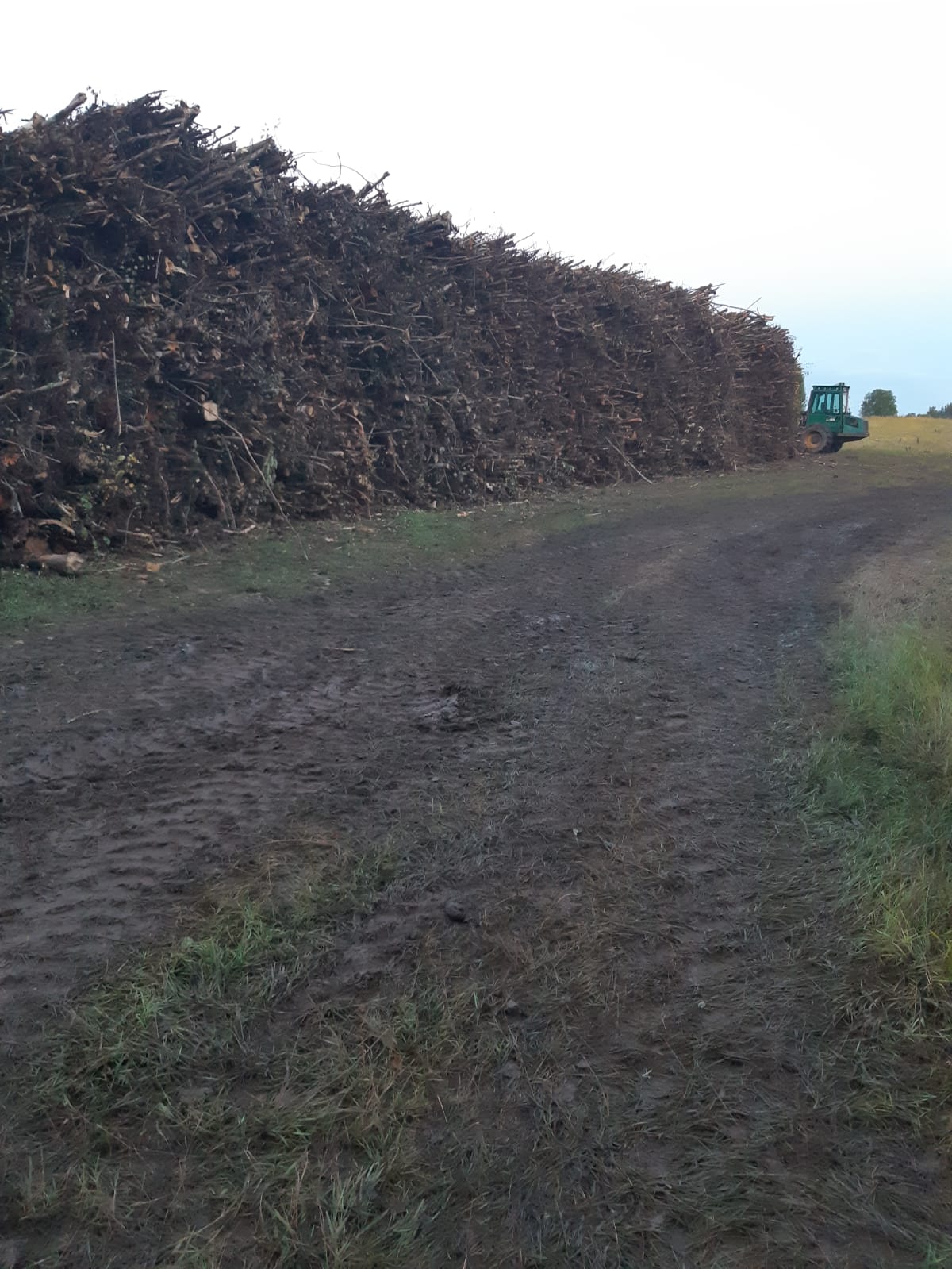 Fotoattēli 8