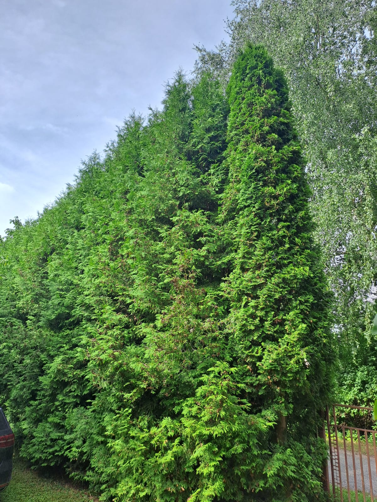 Fotoattēli 1