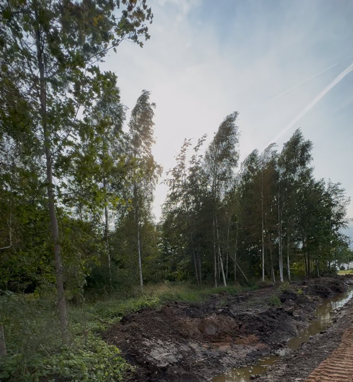 Fotoattēli 1
