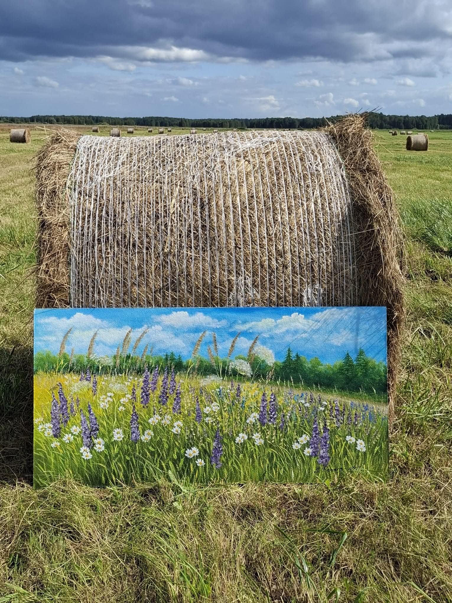 Fotoattēli 10