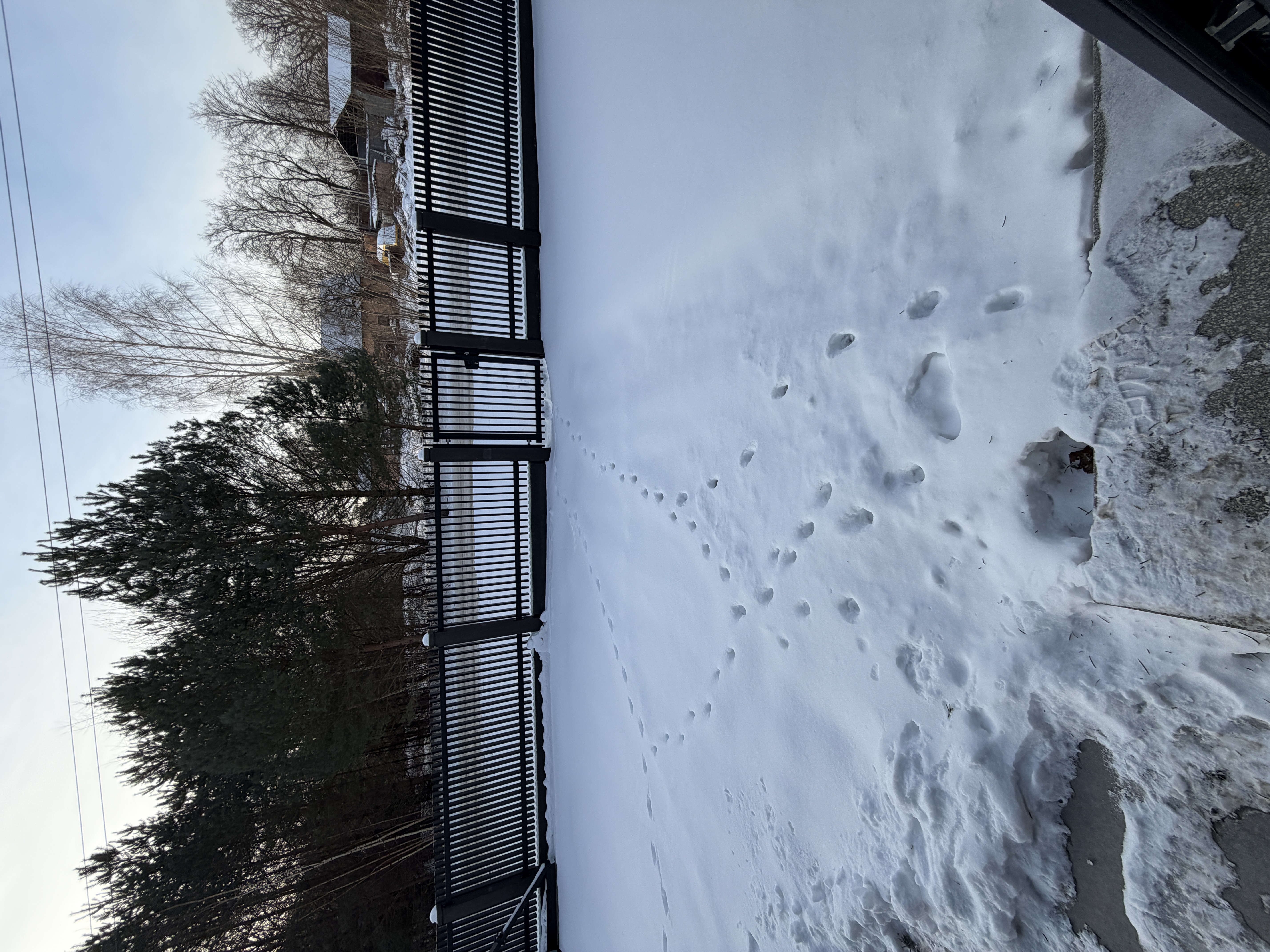 Fotoattēli 2