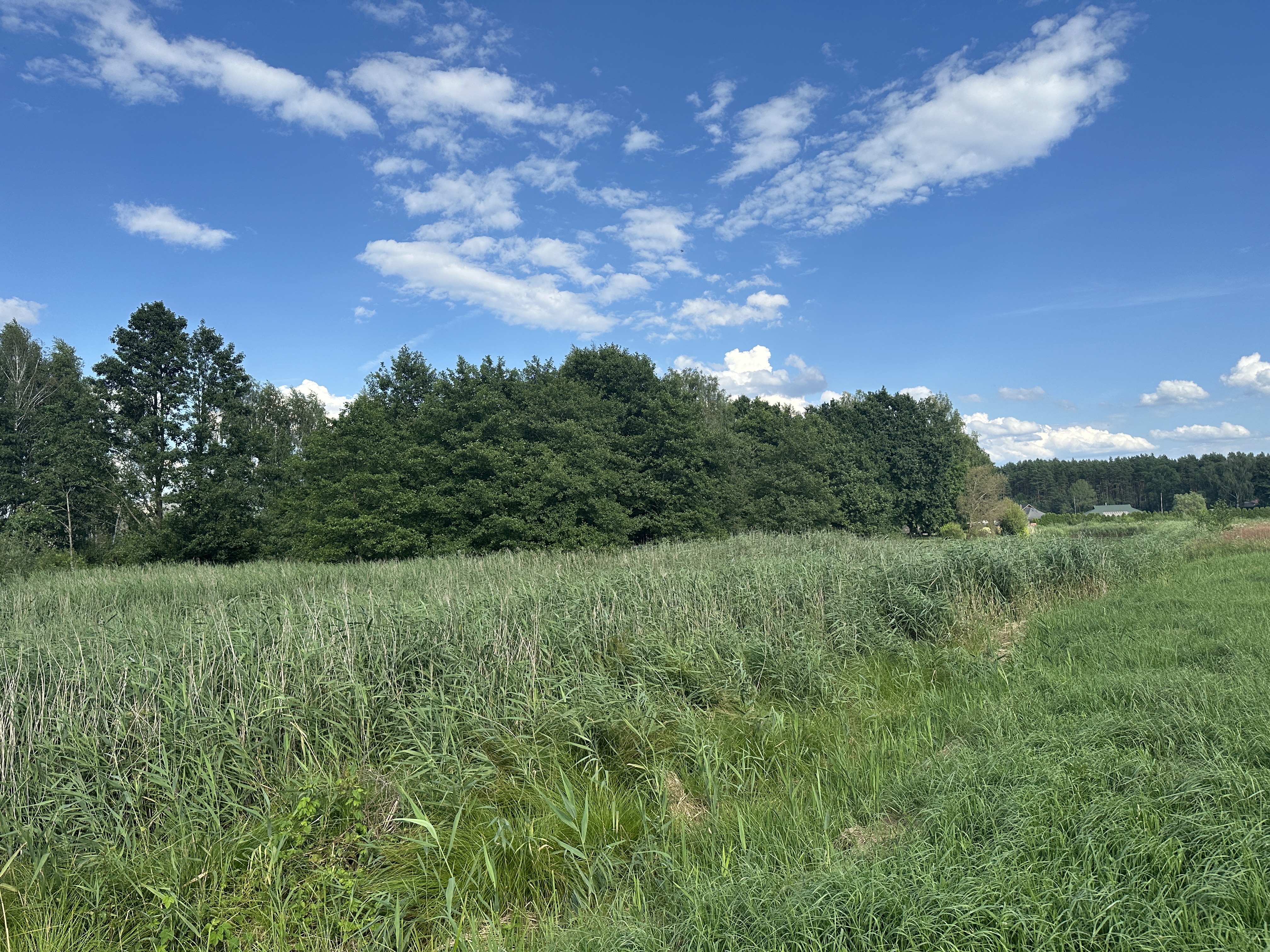 Fotoattēli 2