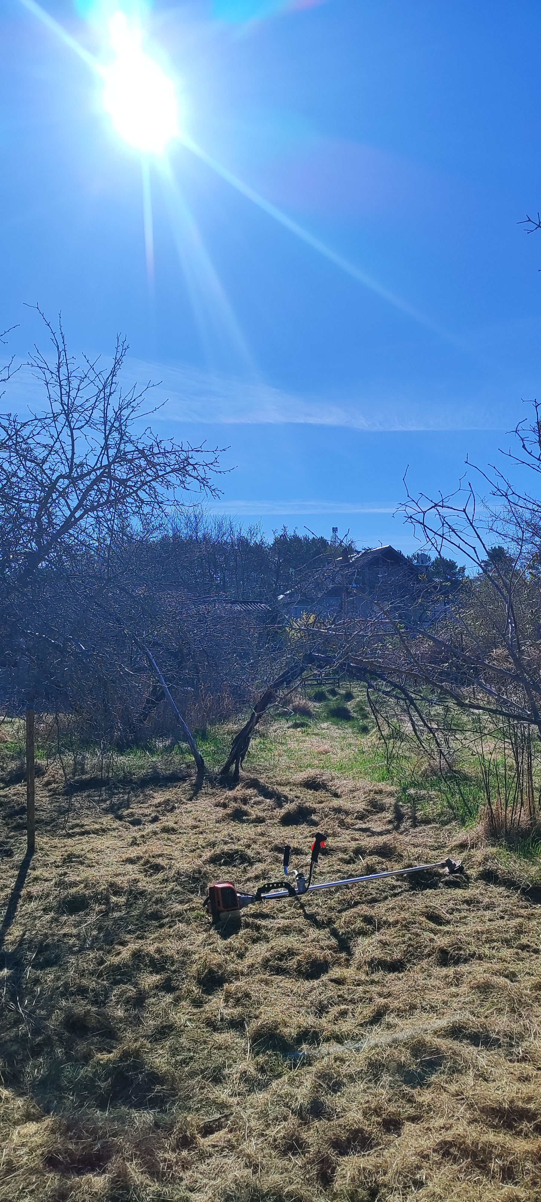 Fotoattēli 3