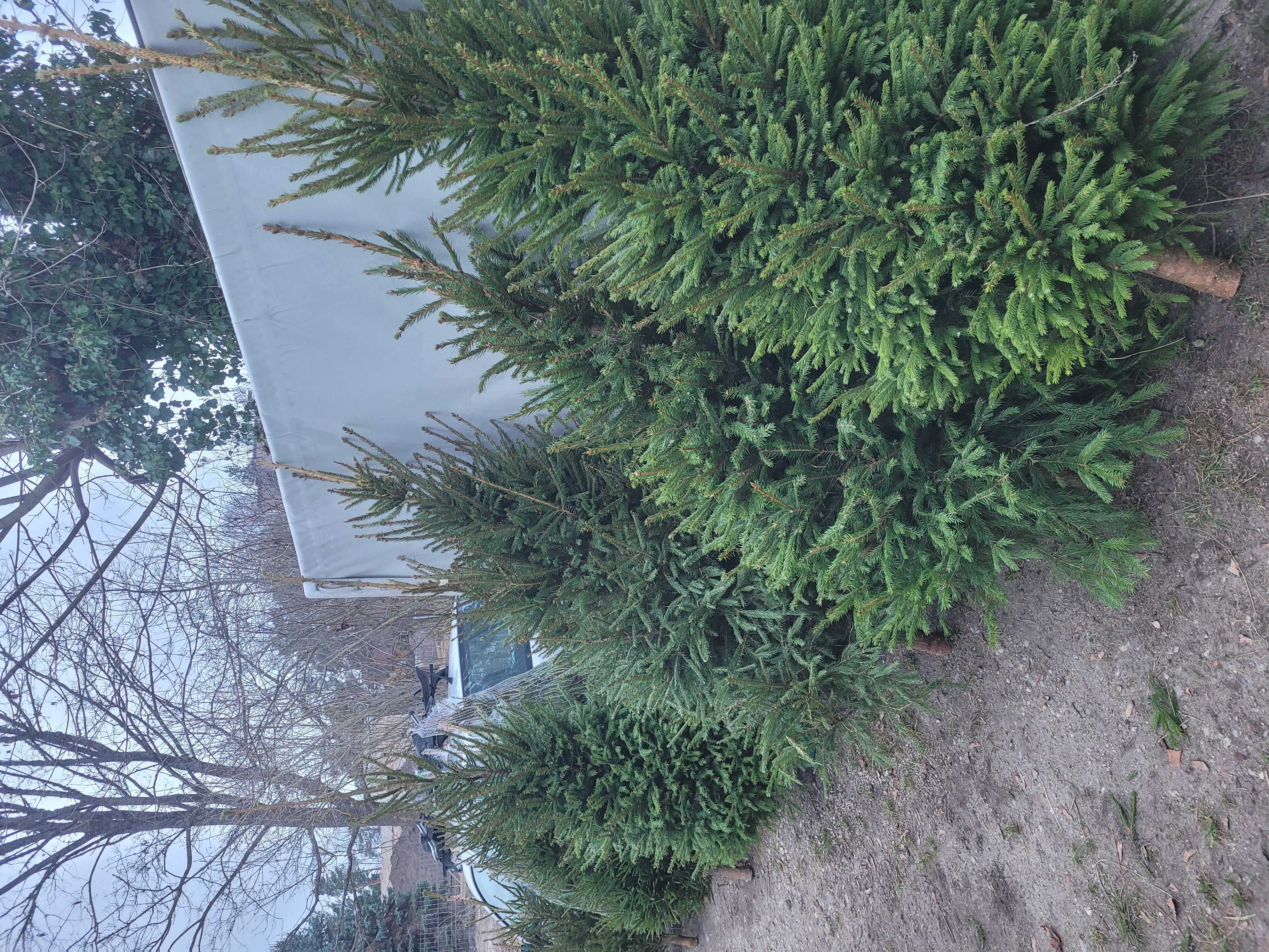 Fotoattēli 2