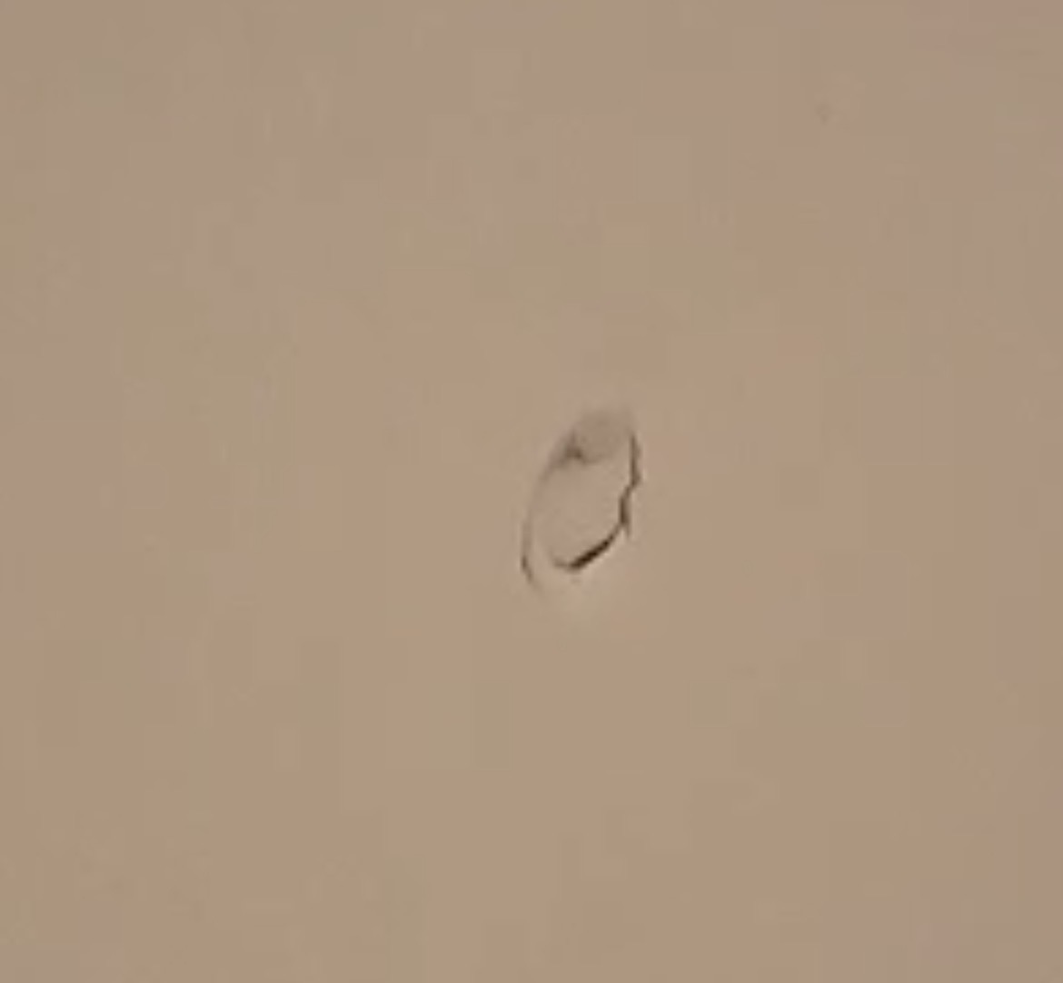 Photos 1