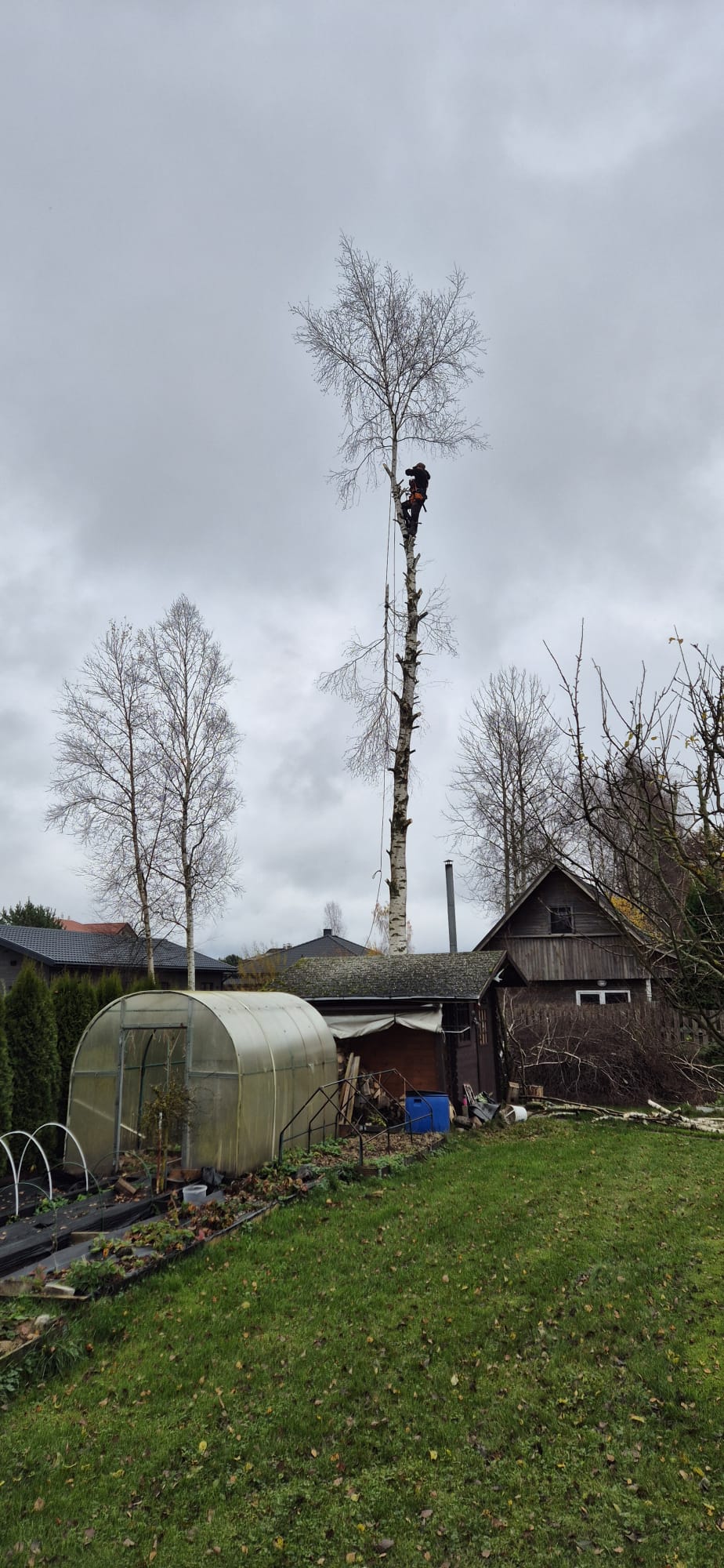Fotoattēli 3