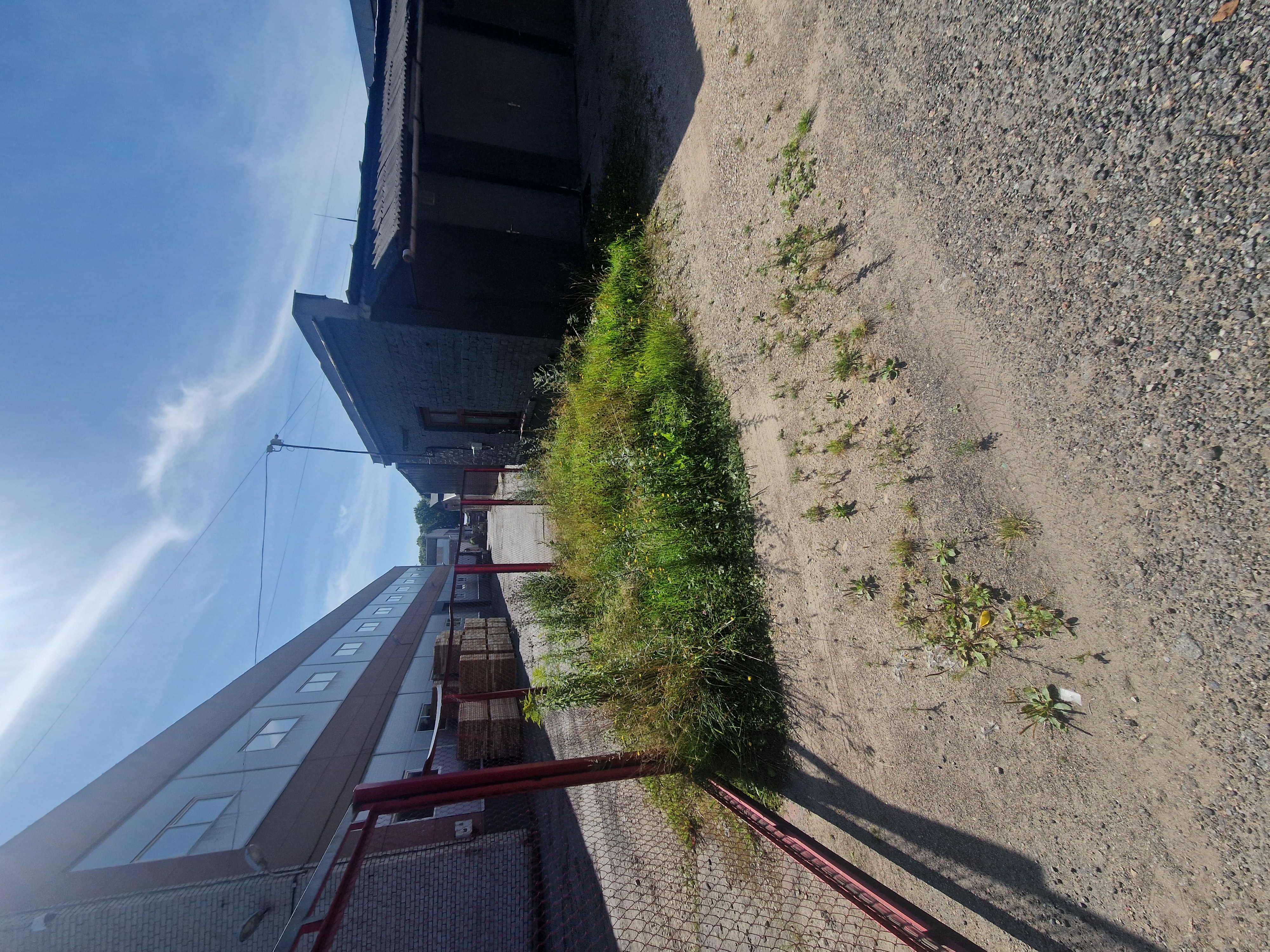 Fotoattēli 1