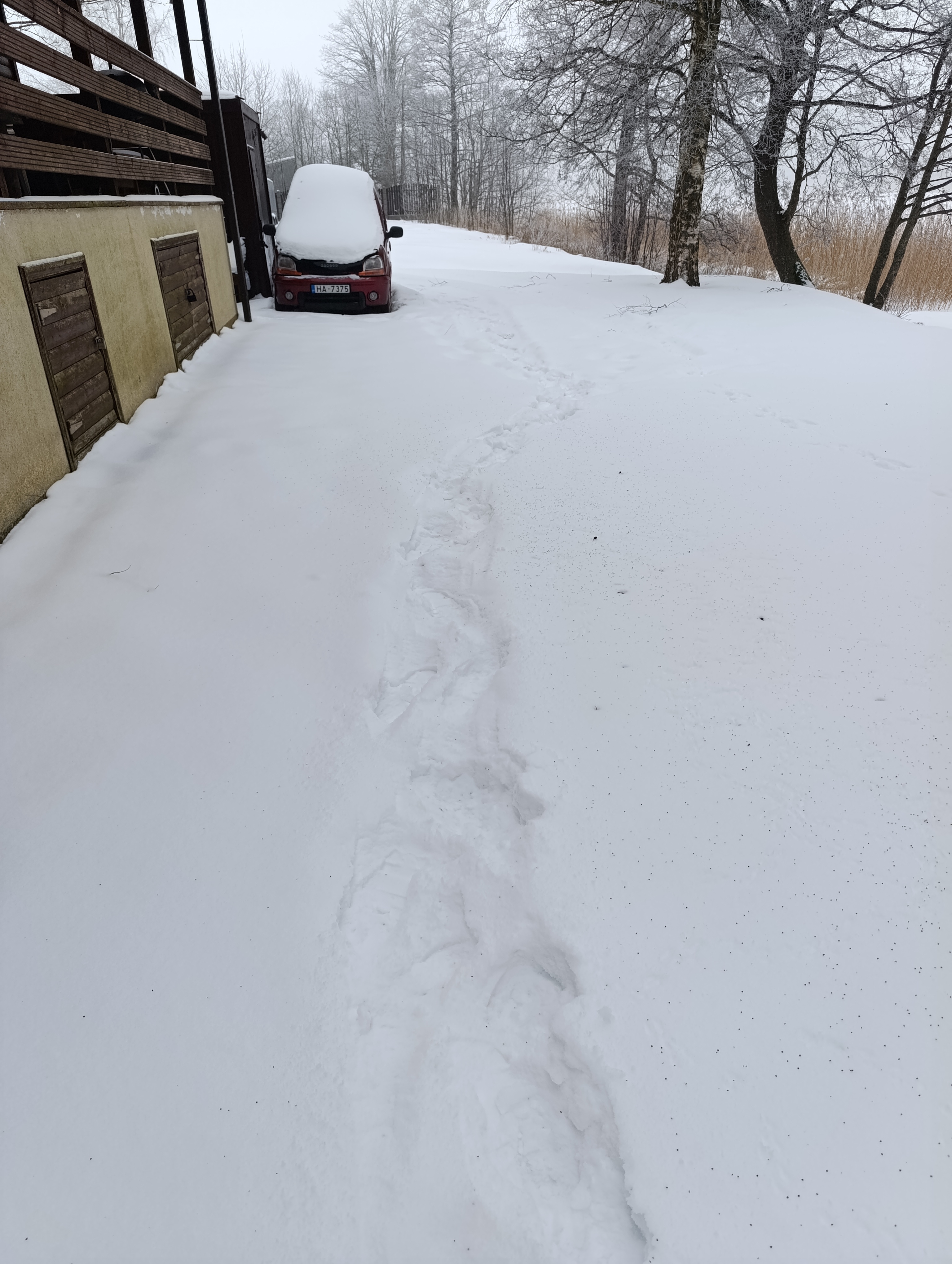 Fotoattēli 1