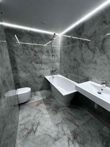 Portfolio image 1