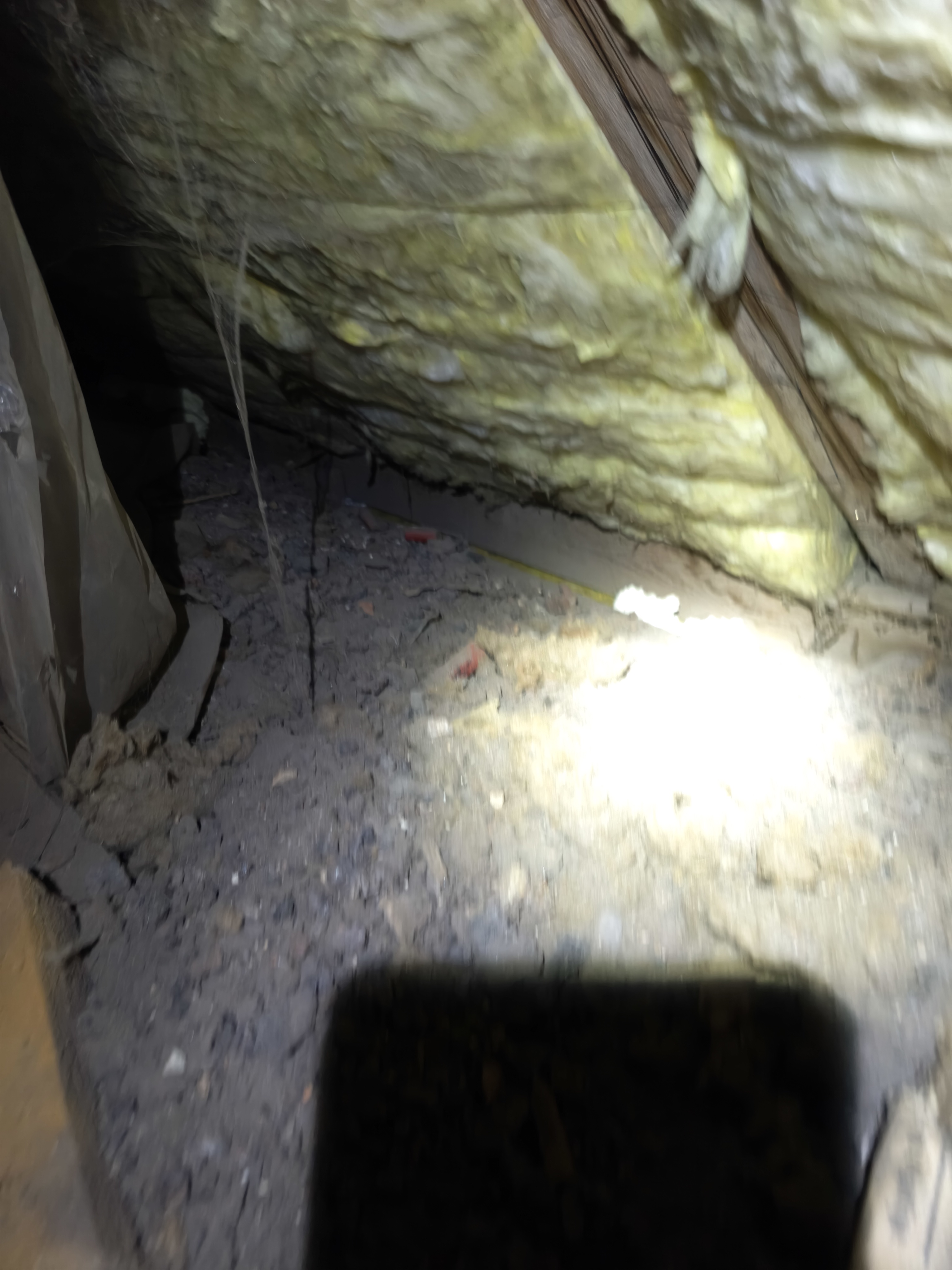 Photos 1
