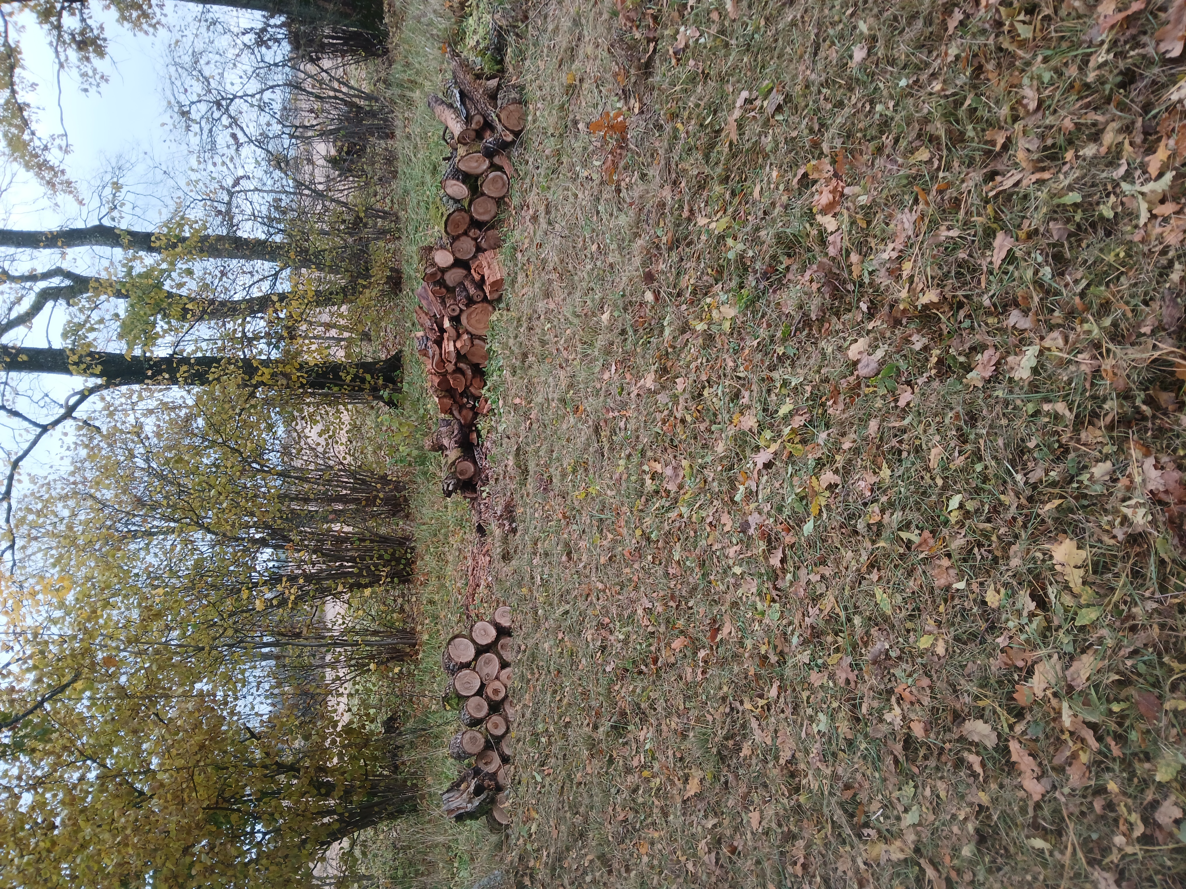 Fotoattēli 4
