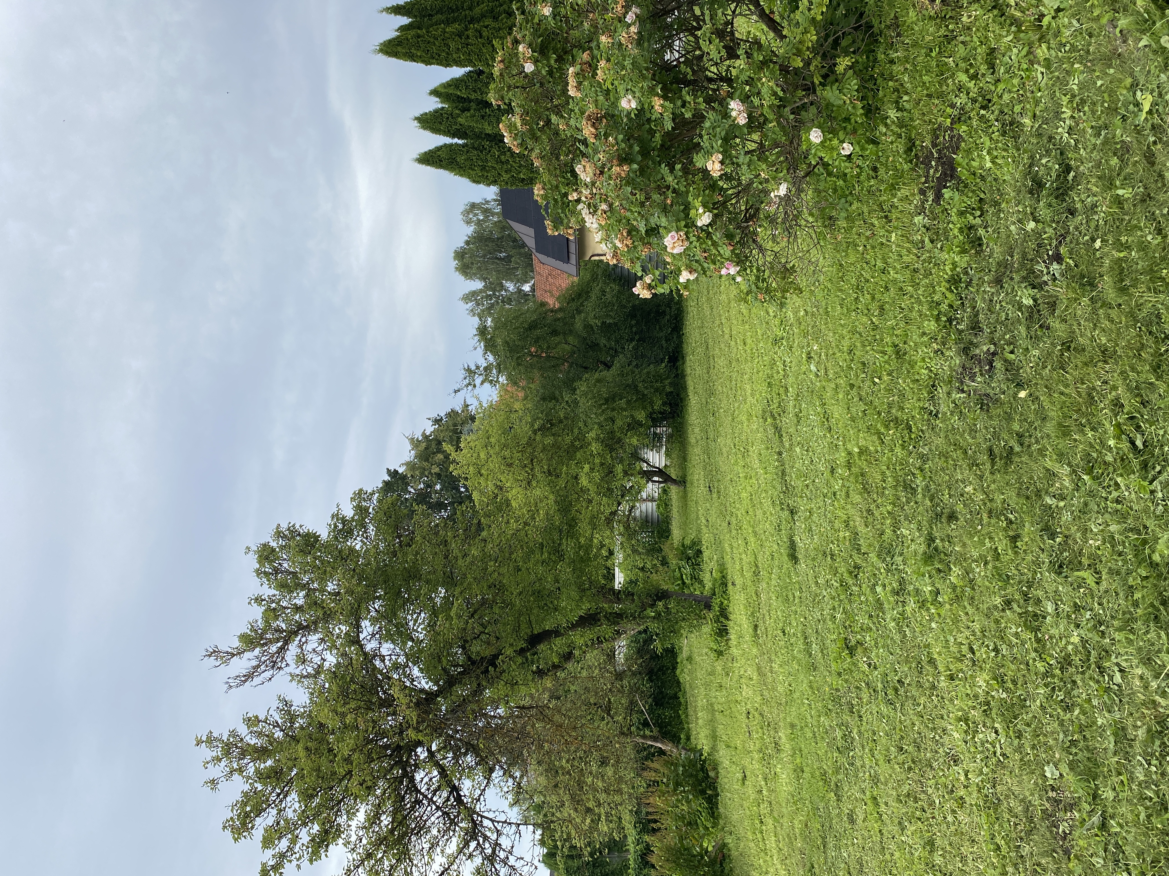 Photos 2