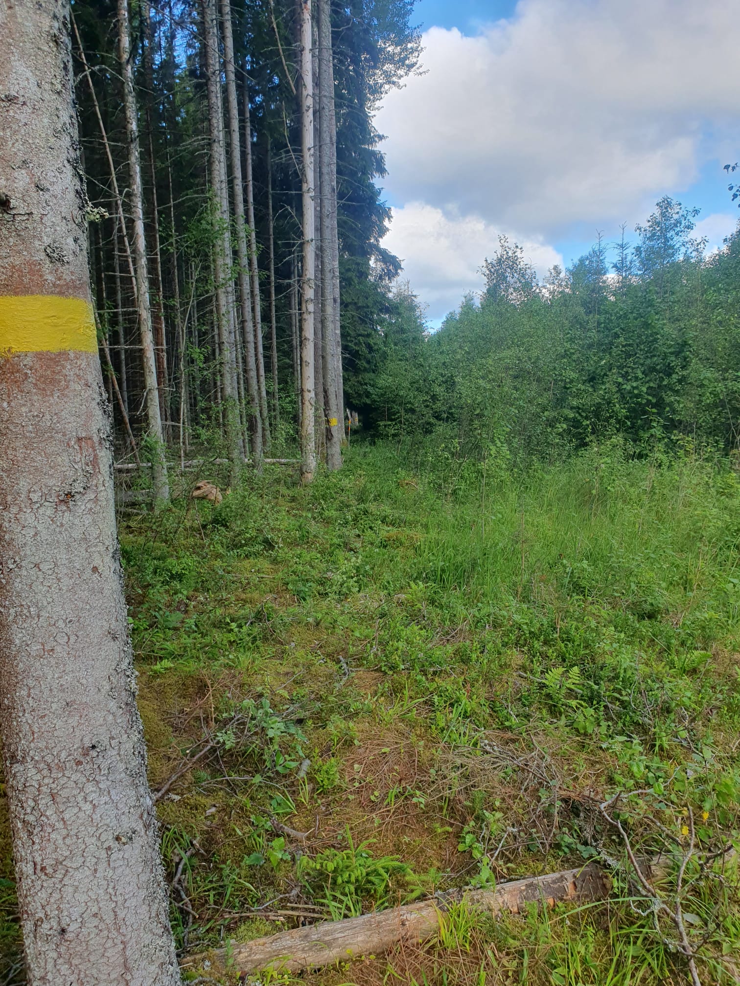 Fotoattēli 1