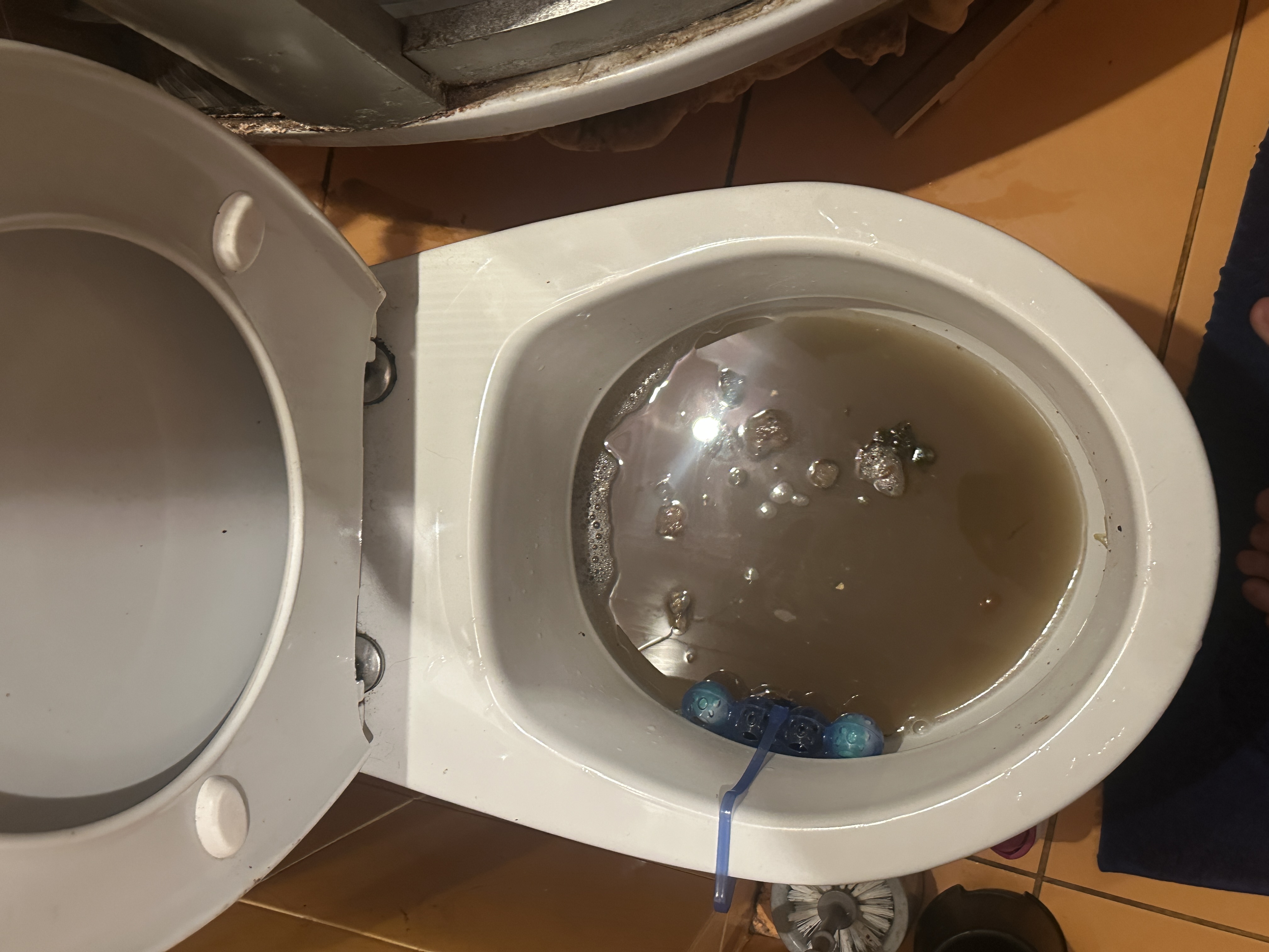 Photos 1