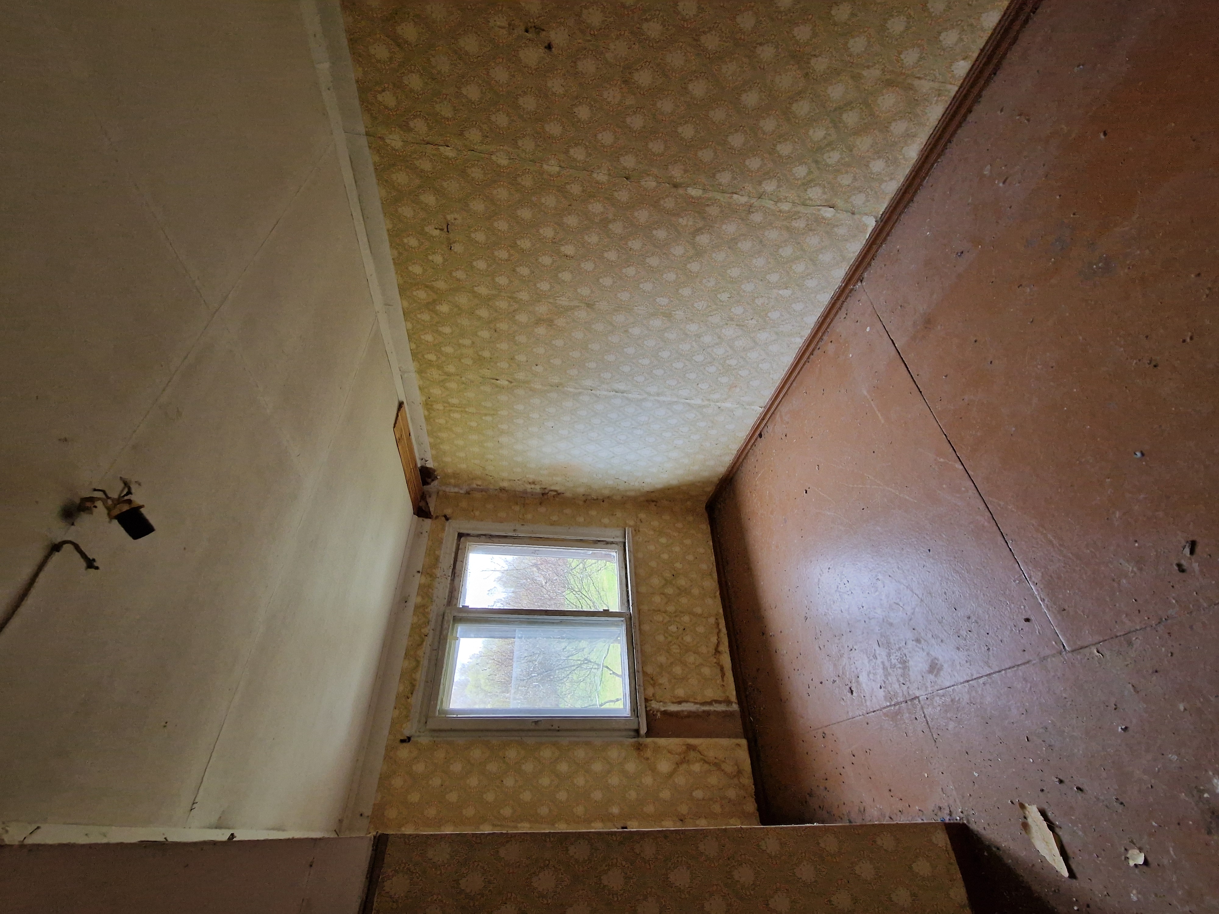 Photos 4