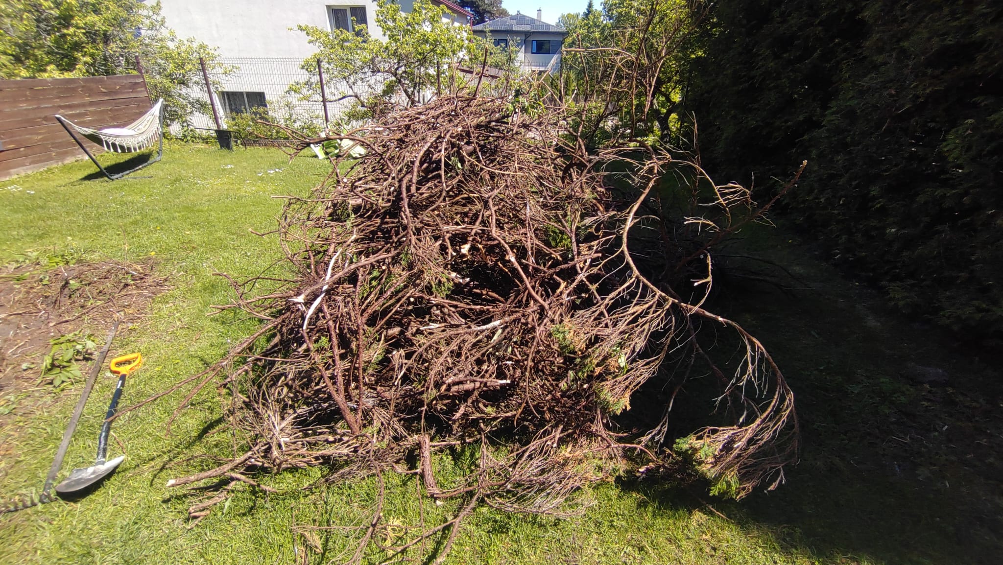 Photos 1
