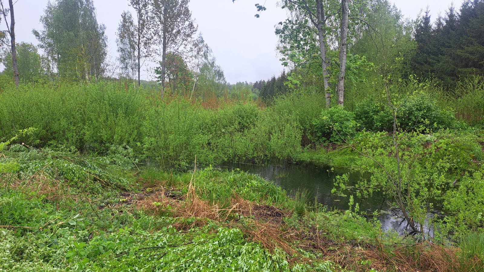 Fotoattēli 13