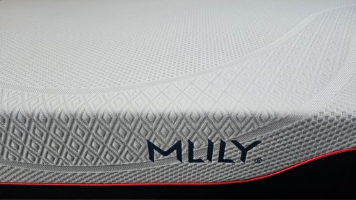 Portfolio image 3