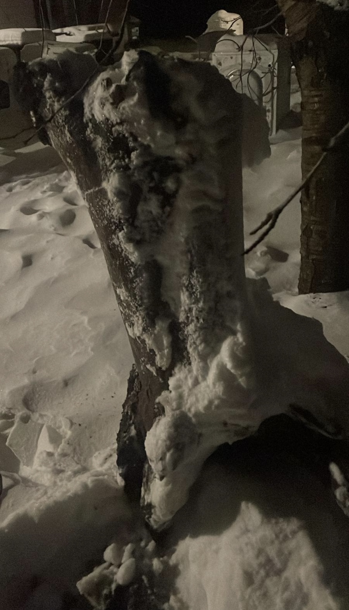 Fotoattēli 1